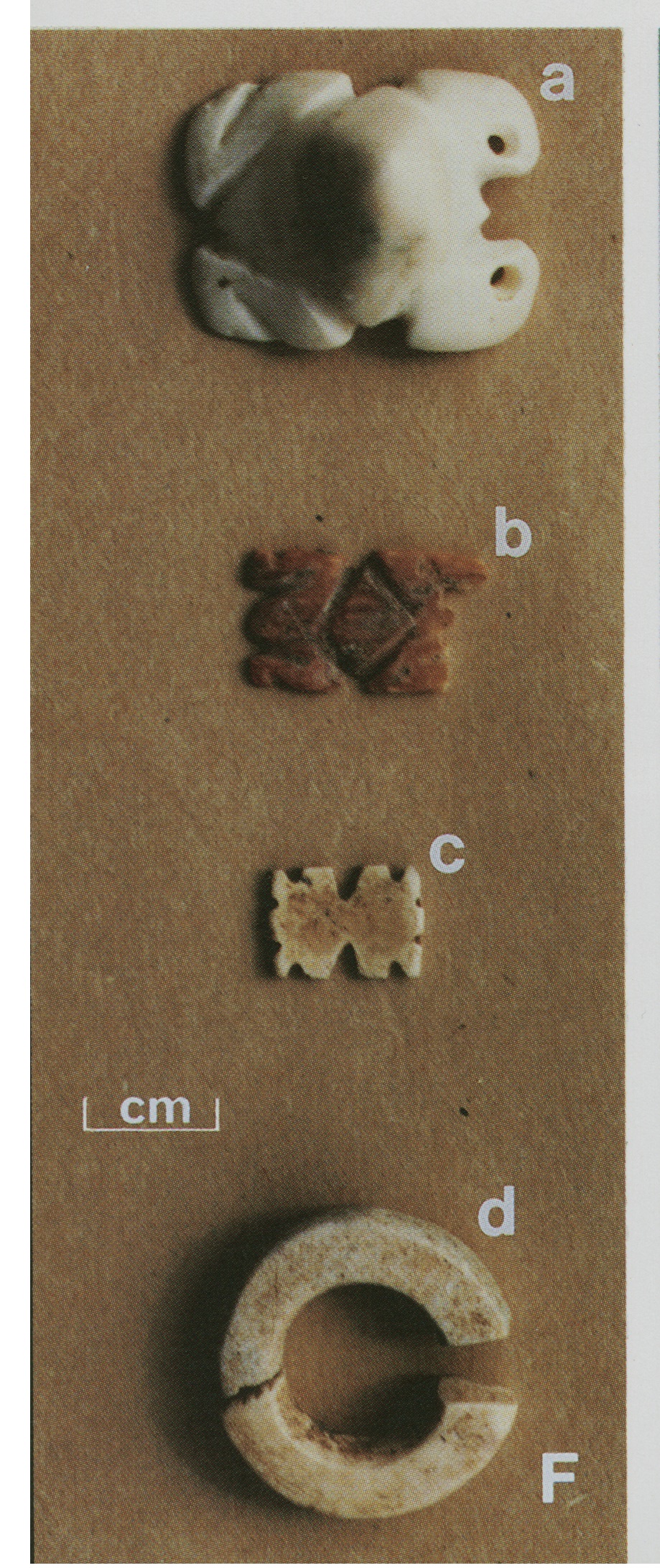 Plate VF Curafao and Bonaire: Prehistoric zoomorphic shell artifacts (a-c) and shell nose-ring (d) from archaeological excavations at WanApa, Bonaire (photo by J. Haviser).