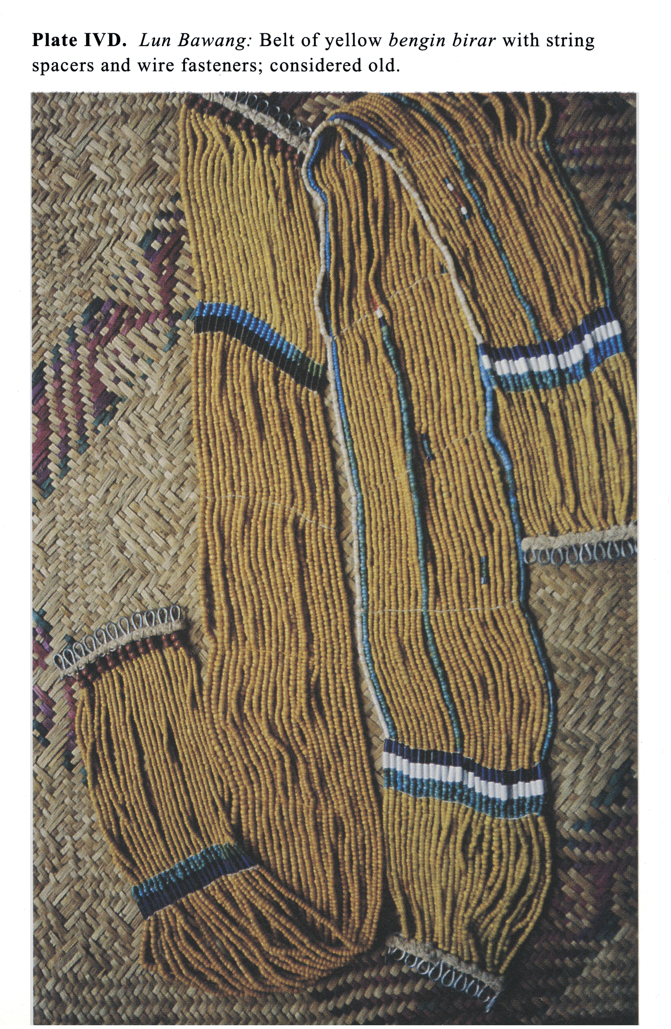Plate IVD Lun Bawang: Belt of yellow bengin birar with string spacers and wire fasteners; considered old.