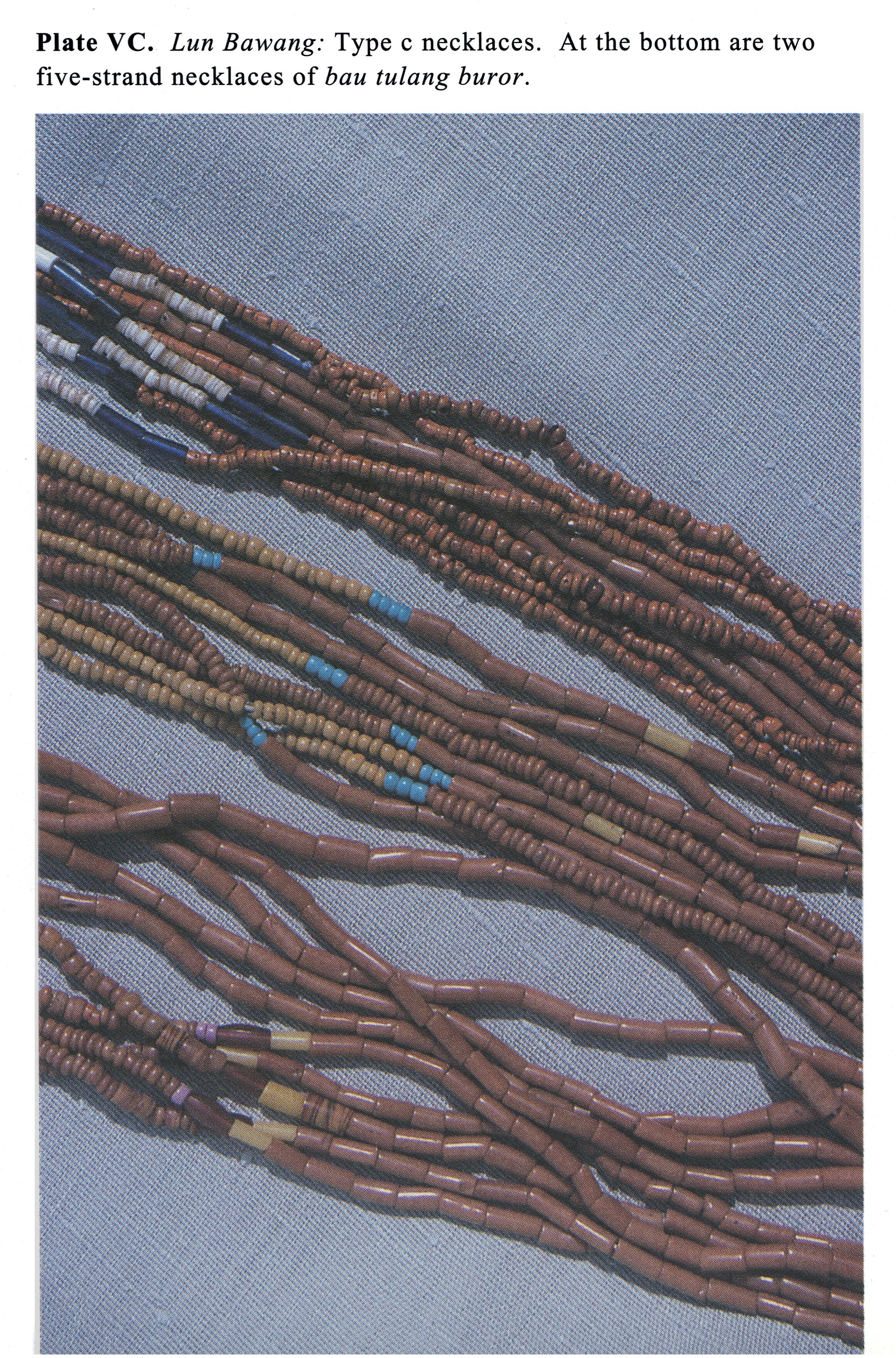Plate VC Lun Bawang: Type c necklaces. At the bottom are two five-strand necklaces of bau tulang buror.
