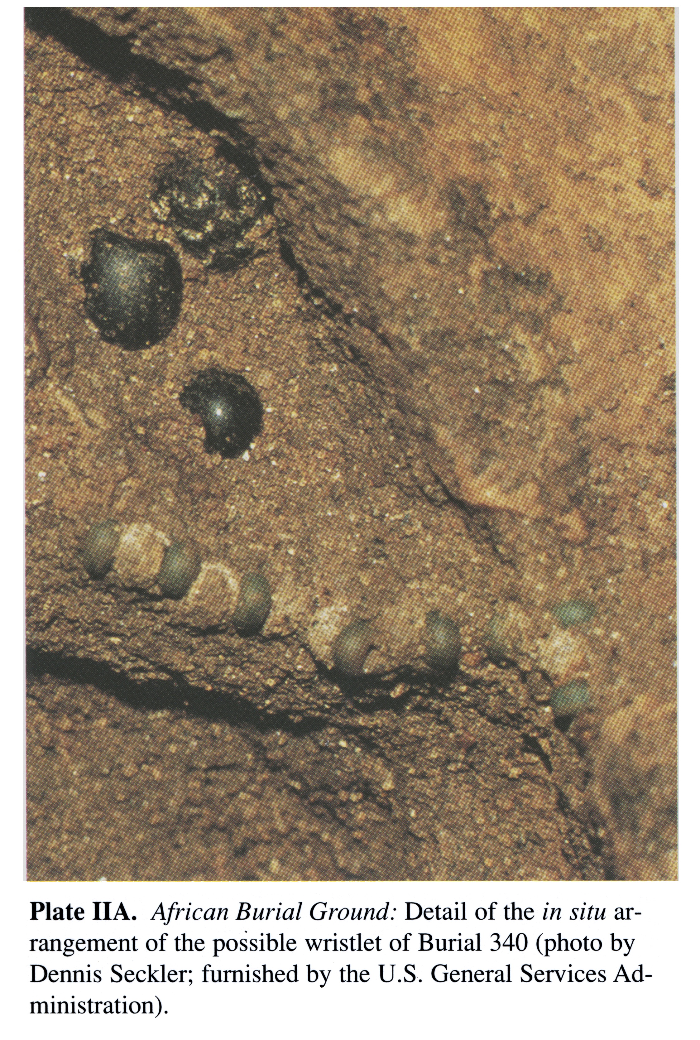 Plate IIA African Burial Ground: Detail of the in situ arrangement of the possible wristlet of Burial 340 (photo by Dennis Seckler; furnished by the U.S. General Services Administration).