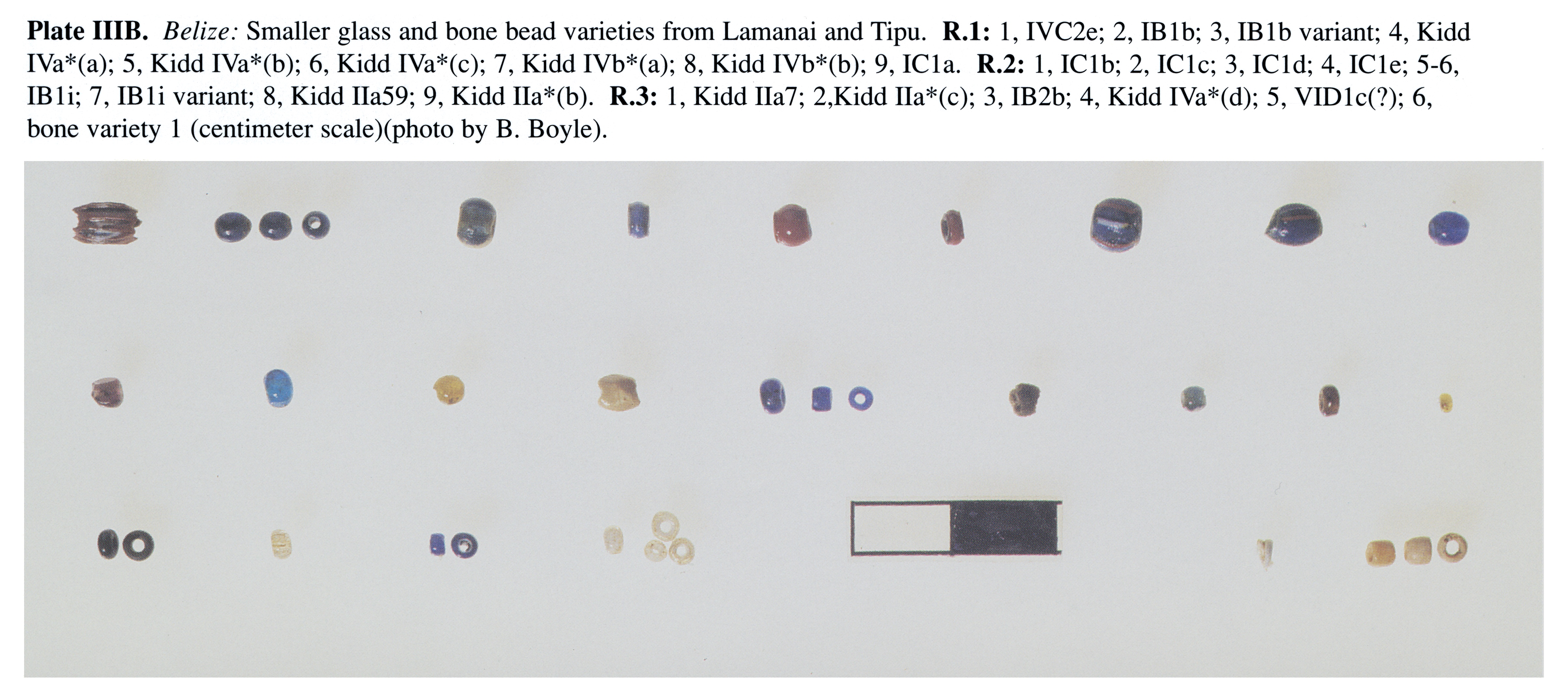 Plate IIIB Belize: Smaller glass and bone bead varieties from Lamanai and Tipu. R.1: 1, IVC2e; 2, IBlb; 3, IBlb variant; 4, Kidd IVa*(a); 5, Kidd IVa*(b); 6, Kidd IVa*(c); 7, Kidd IVb*(a); 8, Kidd IVb*(b); 9, ICla. R.2: 1, IClb; 2, IClc; 3, ICld; 4, ICle; 5-6, IBli; 7, IBli variant; 8, Kidd Ila59; 9, Kidd Ila*(b). R.3: 1, Kidd Ila7; 2,Kidd Ila*(c); 3, IB2b; 4, Kidd IVa*(d); 5, VIDlc(?); 6, bone variety 1 (centimeter scale)(photo by B. Boyle).