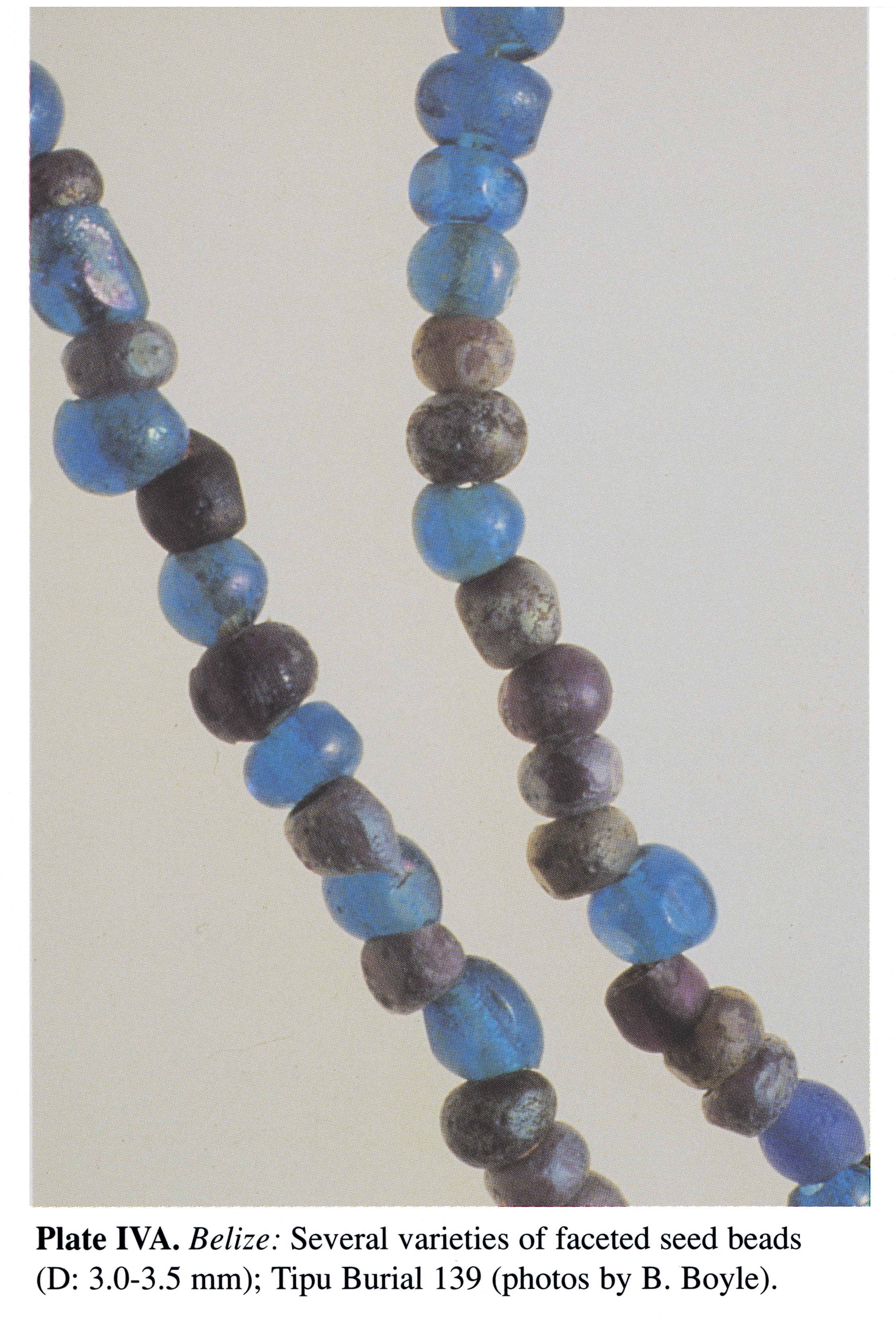Plate IVA Belize: Several varieties of faceted seed beads (D: 3.0-3.5 mm); Tipu Burial 139 (photos by B. Boyle).