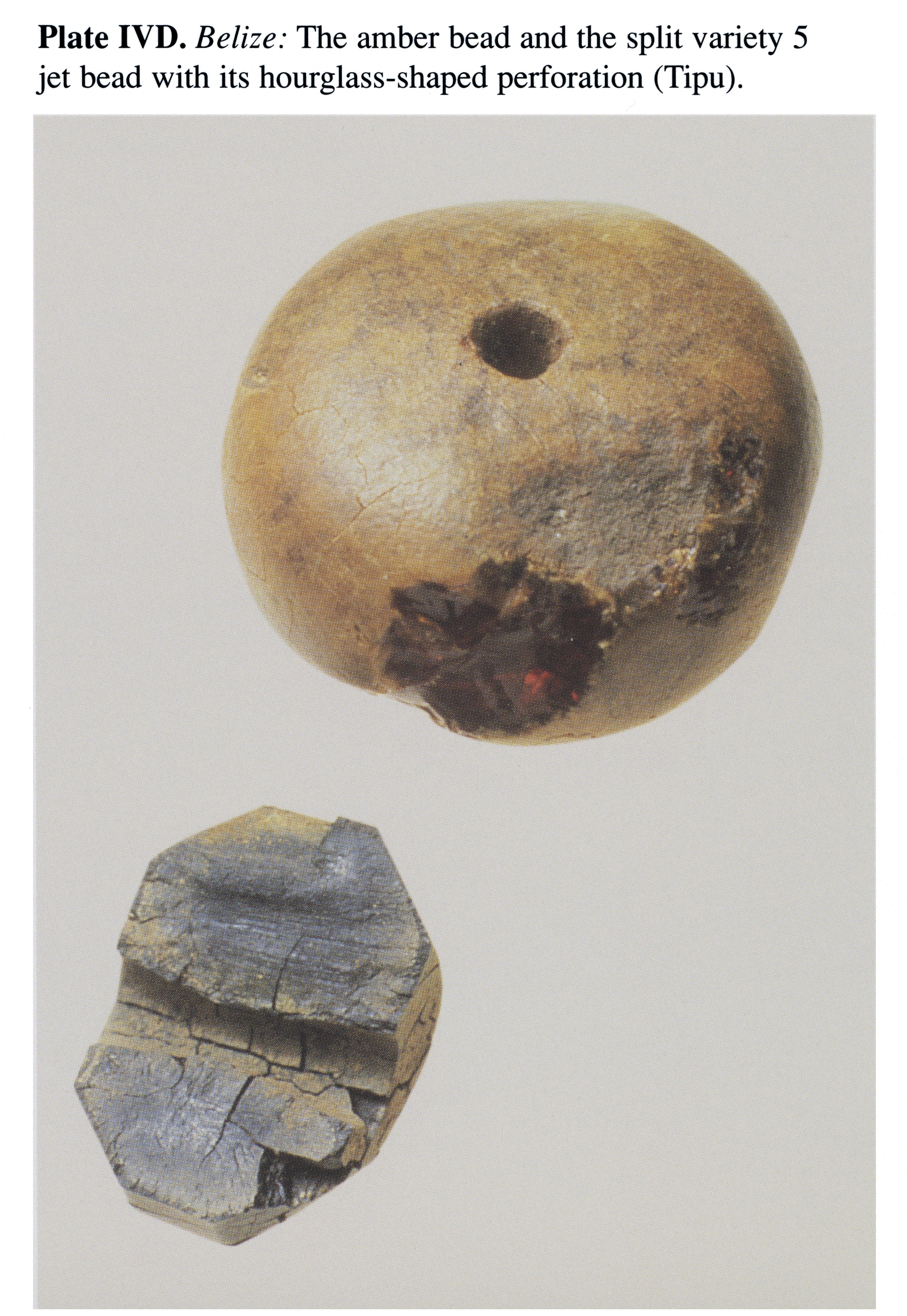 Plate IVD Belize: The amber bead and the split variety 5 jet bead with its hourglass-shaped perforation (Tipu).