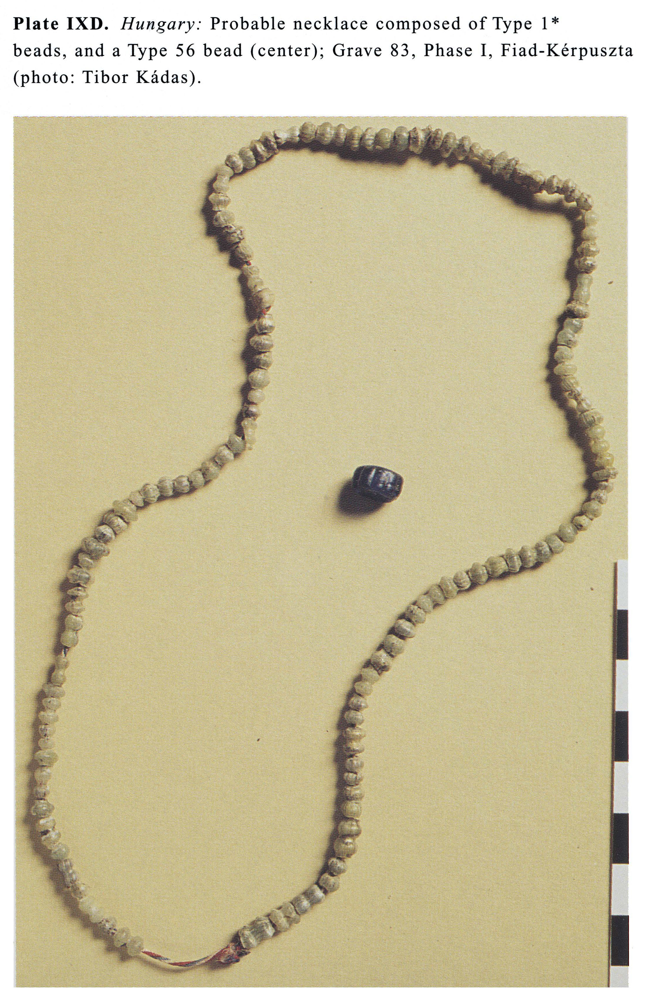 Plate IXD Hungary: Probable necklace composed of Type I* beads, and a Type 56 bead (center); Grave 83, Phase I, Fiad-Kerpuszta (photo: Tibor Kadas). 
