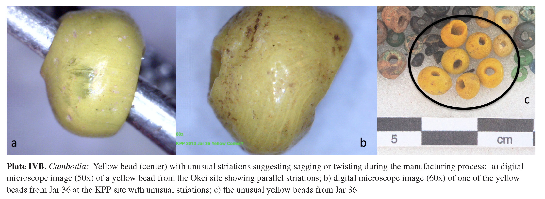 Plate IVB Cambodia: Yellow bead (center) with unusual striations suggesting sagging or twisting during the manufacturing process: a) digital microscope image (50x) of a yellow bead from the Okei site showing parallel striations; b) digital microscope image (60x) of one of the yellow beads from Jar 36 at the KPP site with unusual striations; c) the unusual yellow beads from Jar 36. 