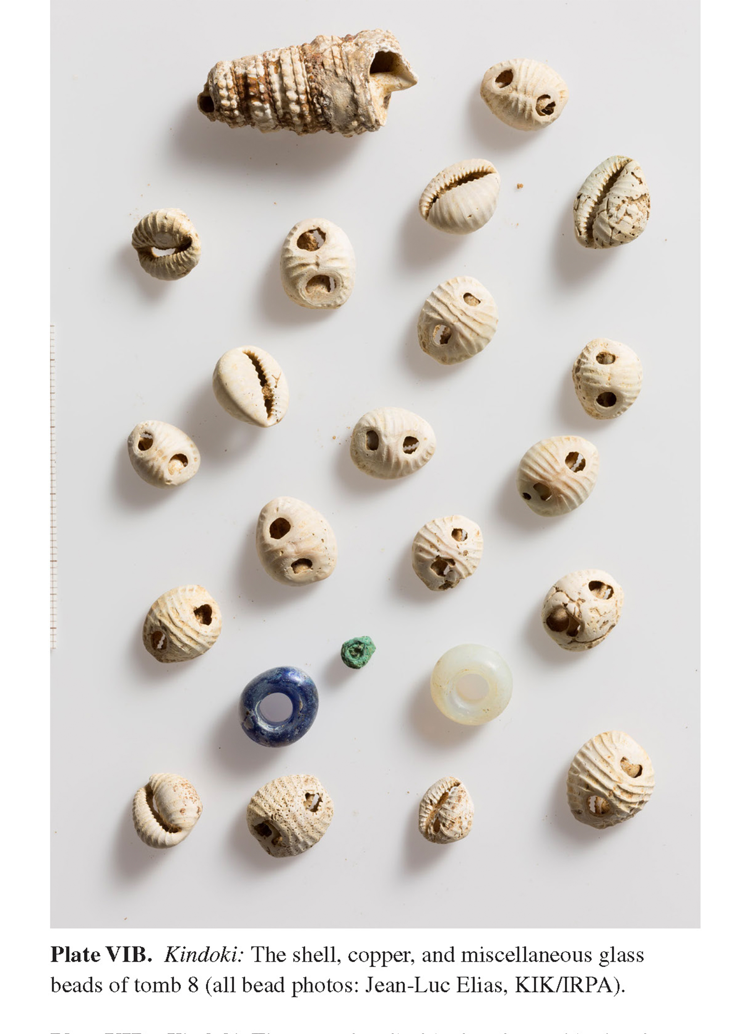 Plate VIB Kindoki: The shell, copper, and miscellaneous glass beads of tomb 8 (all bead photos: Jean-Luc Elias, KIK/IRPA).