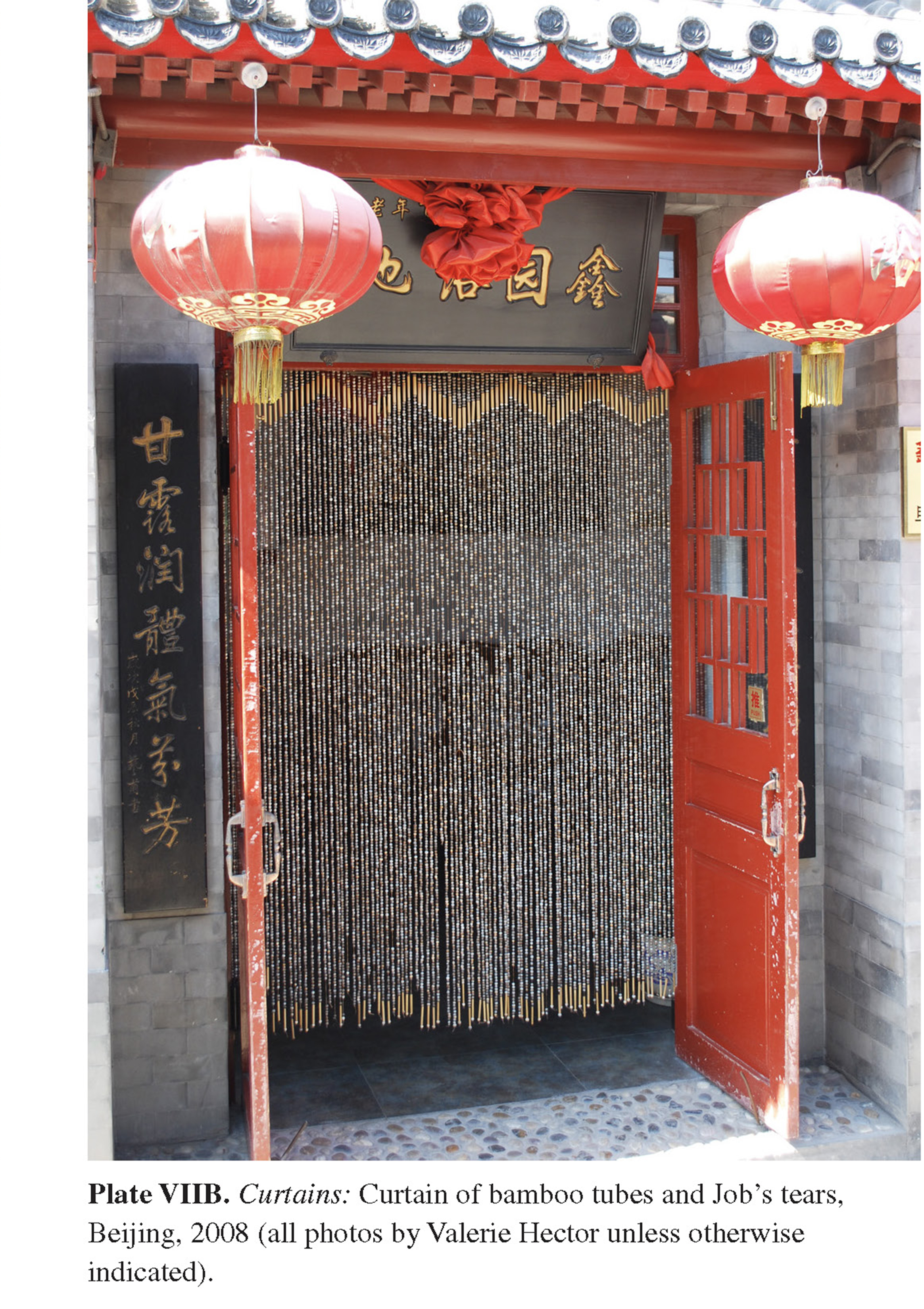 Plate VIIB Curtains: Curtain of bamboo tubes and Job’s tears, Beijing, 2008 (all photos by Valerie Hector unless otherwise indicated).