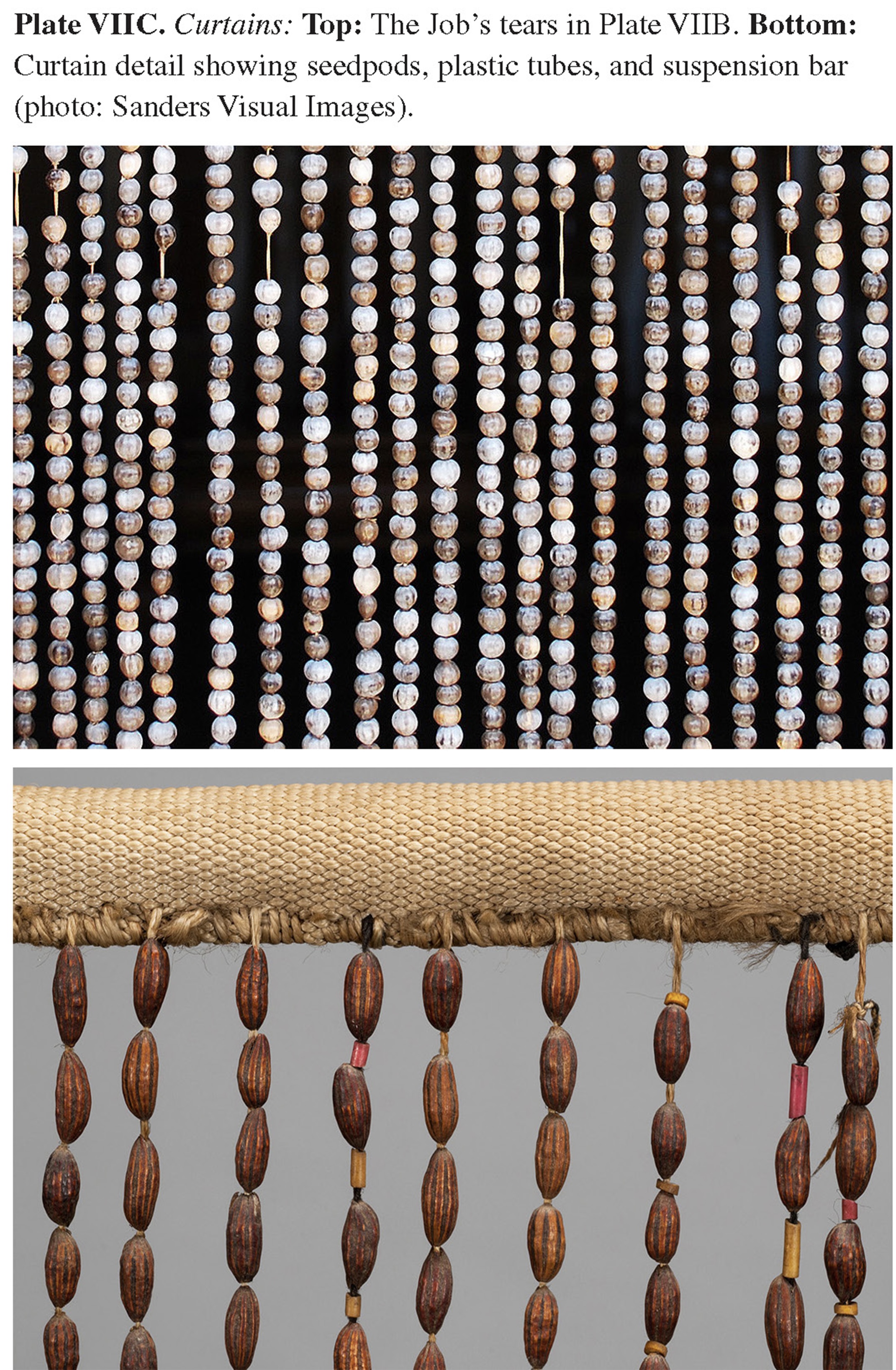 Plate VIIC Curtains: Top: The Job’s tears in Plate VIIB. Bottom: Curtain detail showing seedpods, plastic tubes, and suspension bar (photo: Sanders Visual Images).