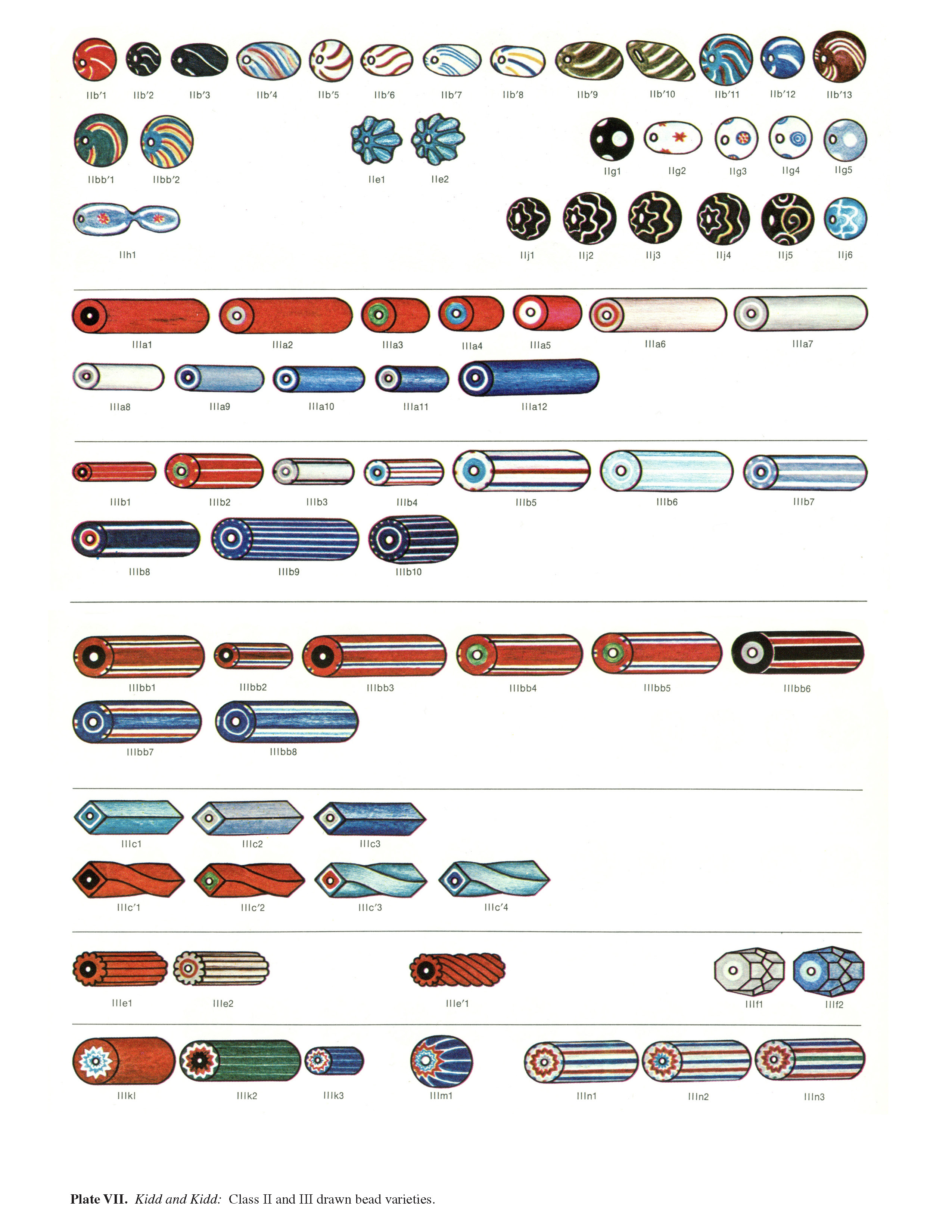 Plate VIIA Kidd and Kidd: Class II and III drawn bead varieties. 