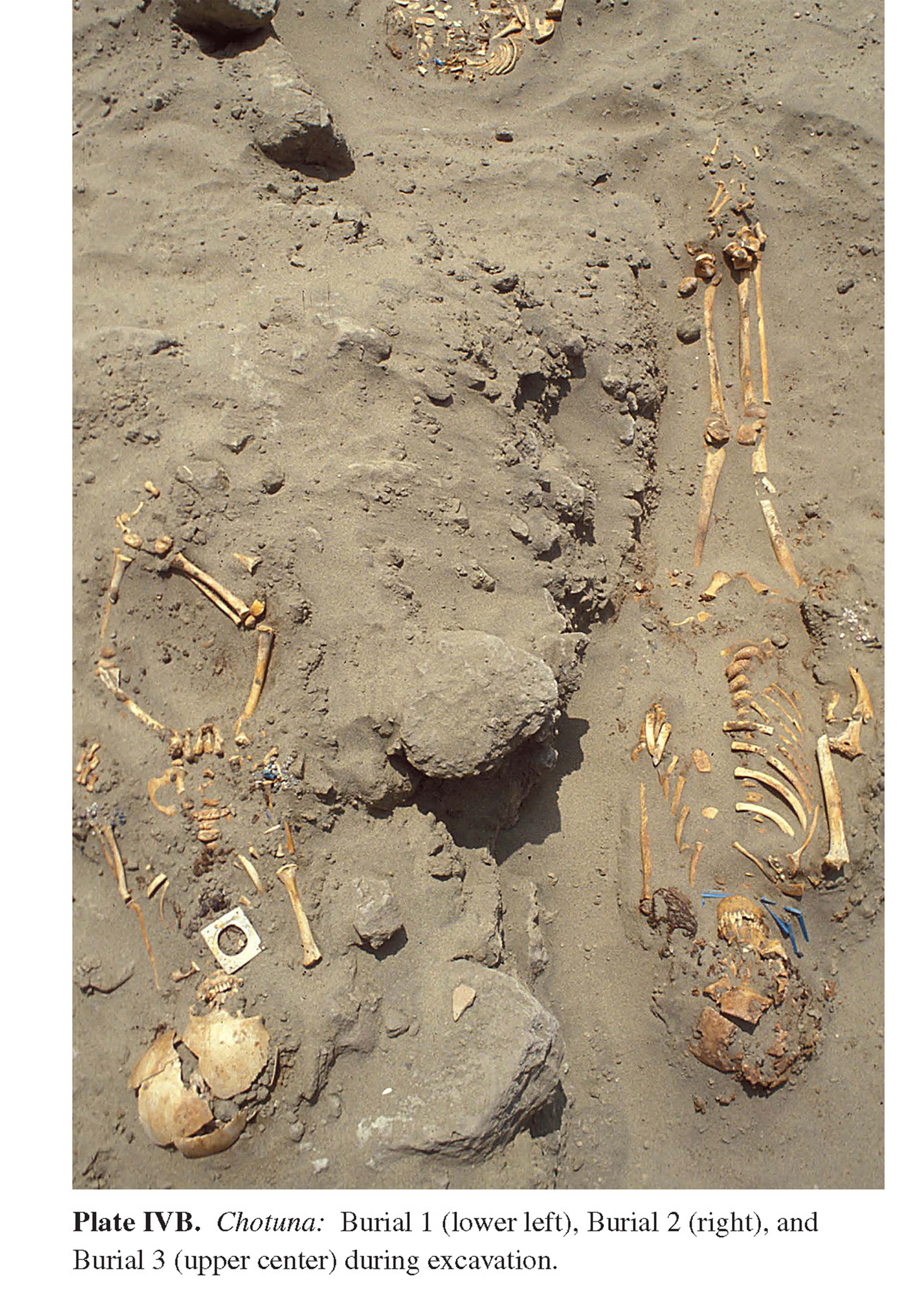 Plate IVB Chotuna: Burial 1 (lower left), Burial 2 (right), and Burial 3 (upper center) during excavation.