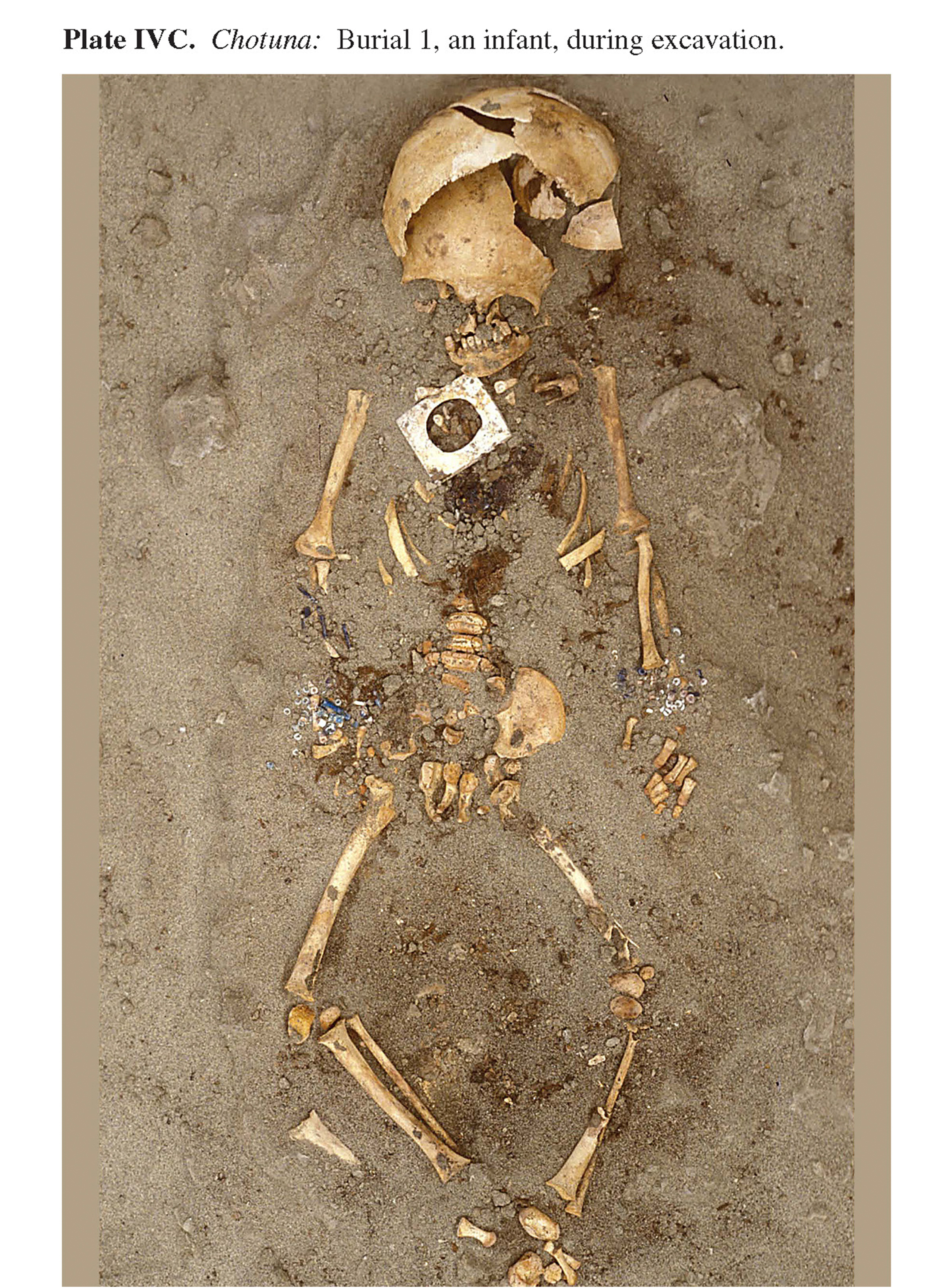 Plate IVC Chotuna: Burial 1, an infant, during excavation. 