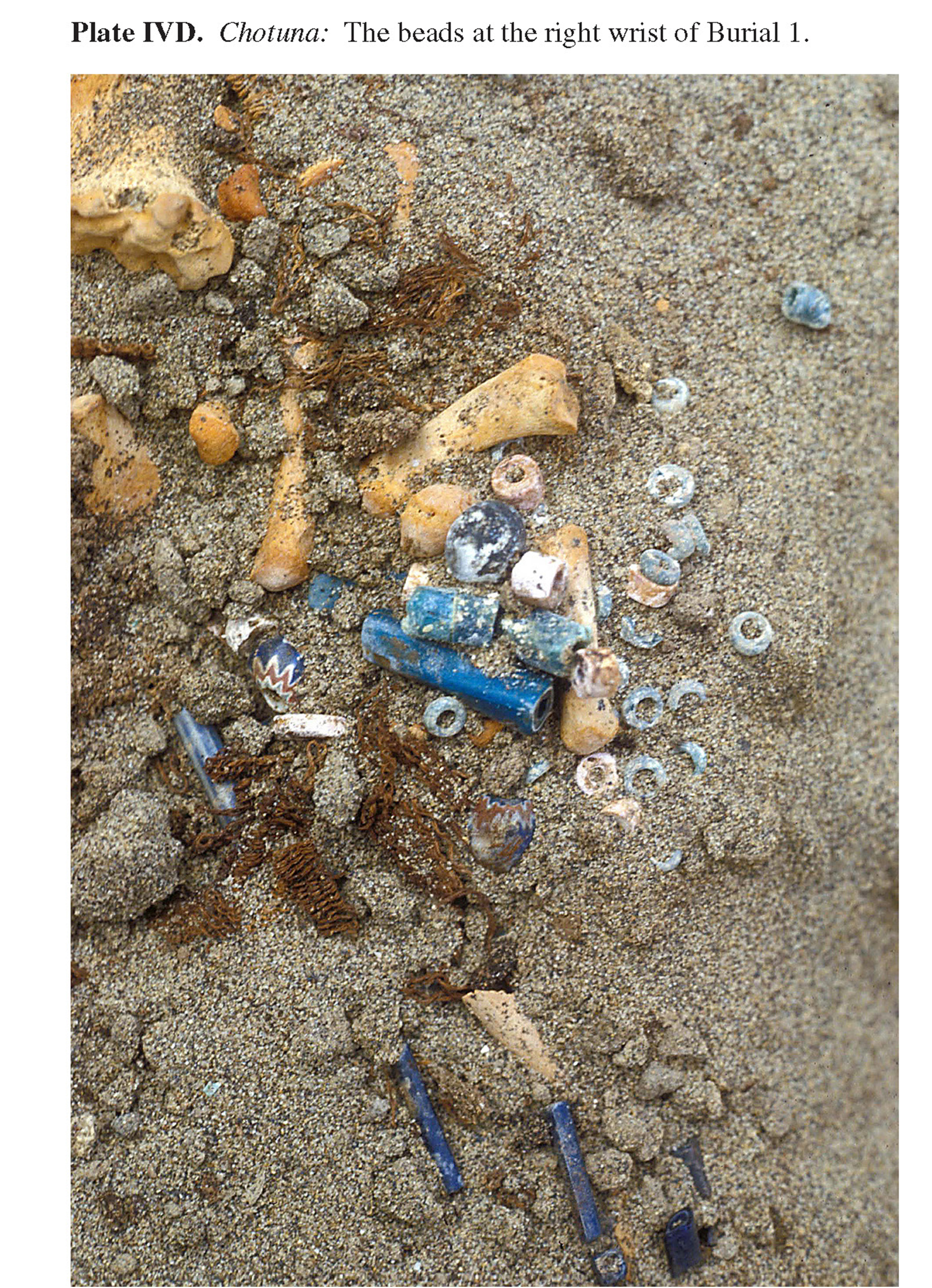 Plate IVD Chotuna: The beads at the right wrist of Burial 1. 