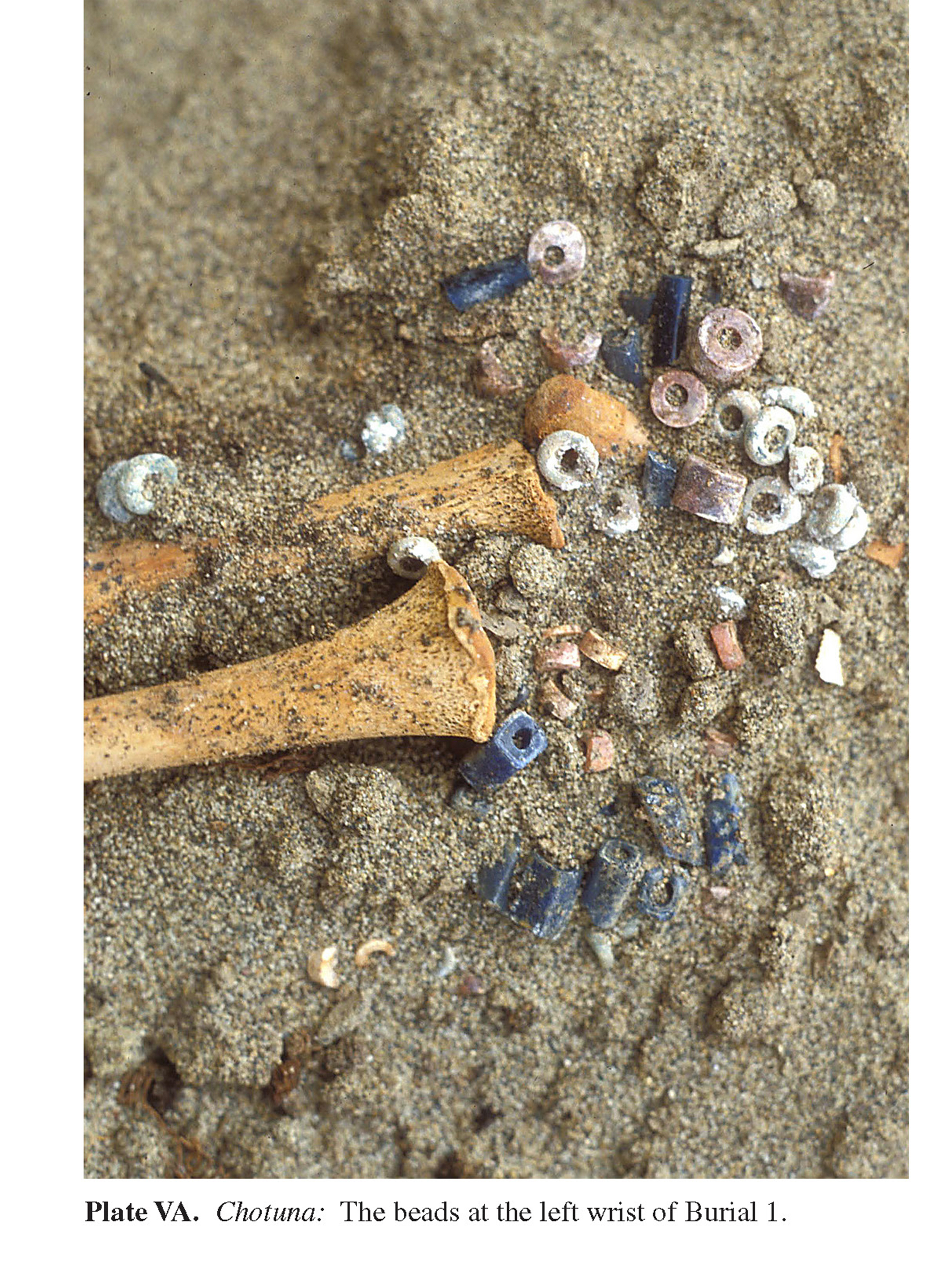 Plate VA Chotuna: The beads at the left wrist of Burial 1. 