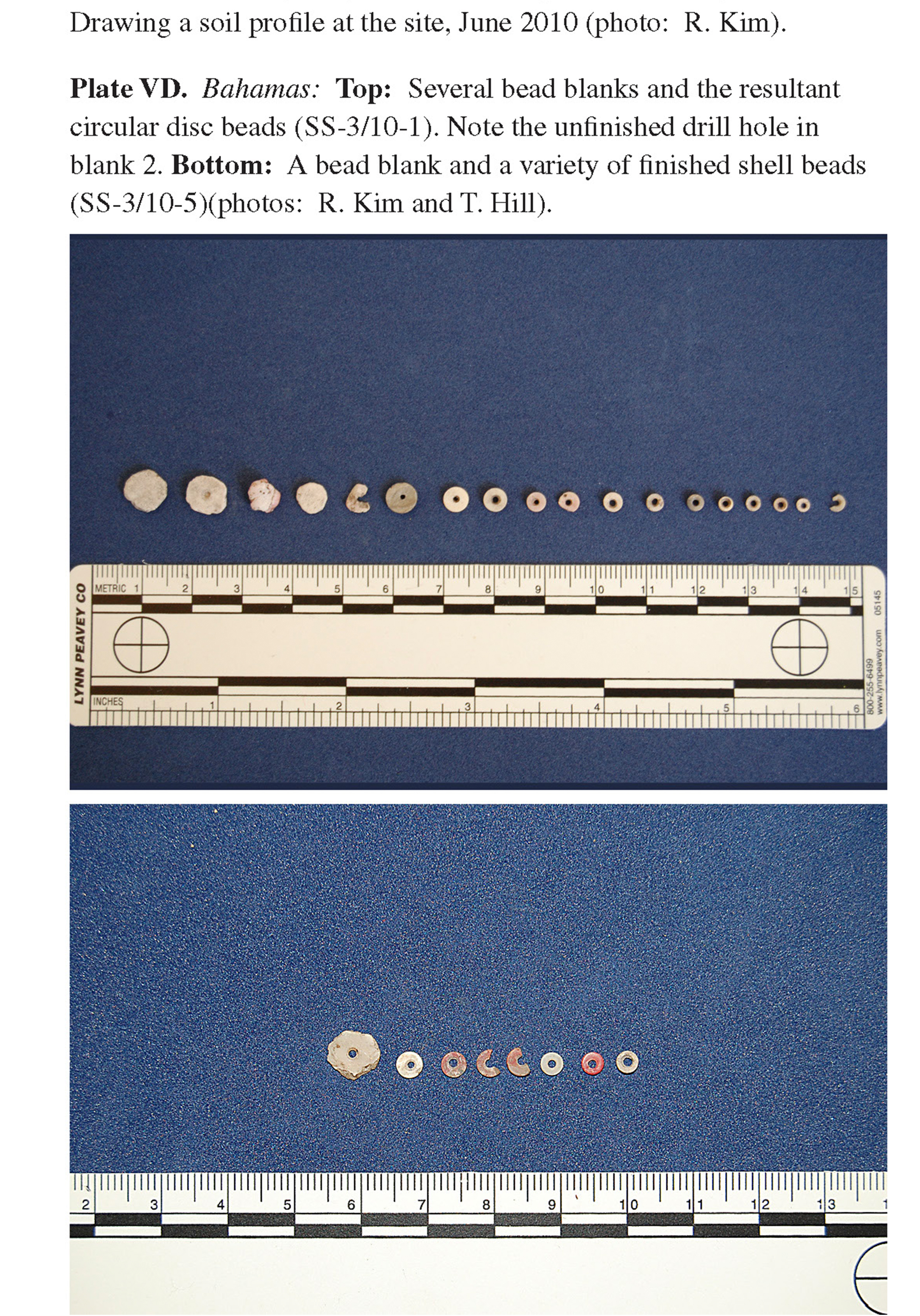 Plate VD Bahamas: Top: Several bead blanks and the resultant circular disc beads (SS-3/10-1). Note the unfinished drill hole in blank 2. Bottom: A bead blank and a variety of finished shell beads (SS-3/10-5)(photos: R. Kim and T. Hill). E