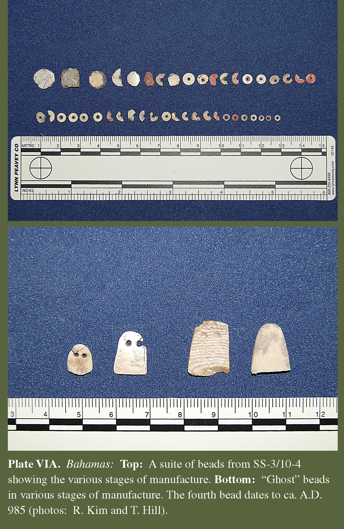 Plate VIA Bahamas: Top: A suite of beads from SS-3/10-4 showing the various stages of manufacture. Bottom: “Ghost” beads in various stages of manufacture. The fourth bead dates to ca. A.D. 985 (photos: R. Kim and T. Hill).