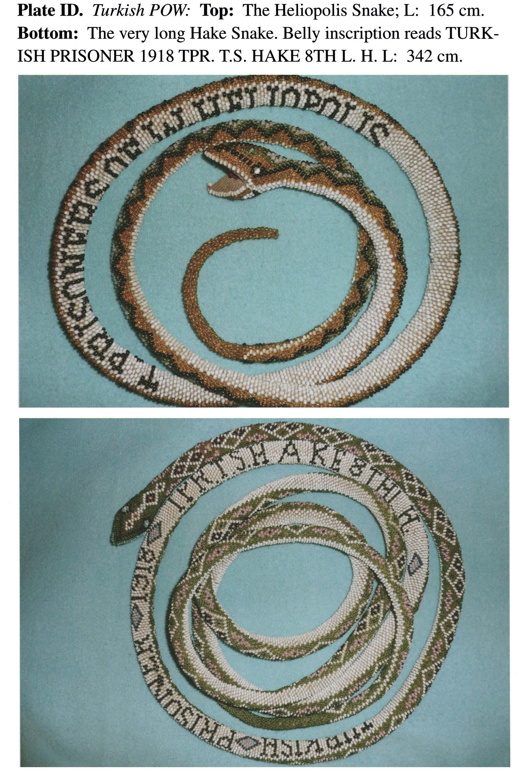 Plate ID Turkish POW: Top: The Heliopolis Snake; L: 165 cm. Bottom: The very long Hake Snake. Belly inscription reads TURKISH PRISONER 1918 TPR. T.S. HAKE 8TH L. H. L: 342 cm.