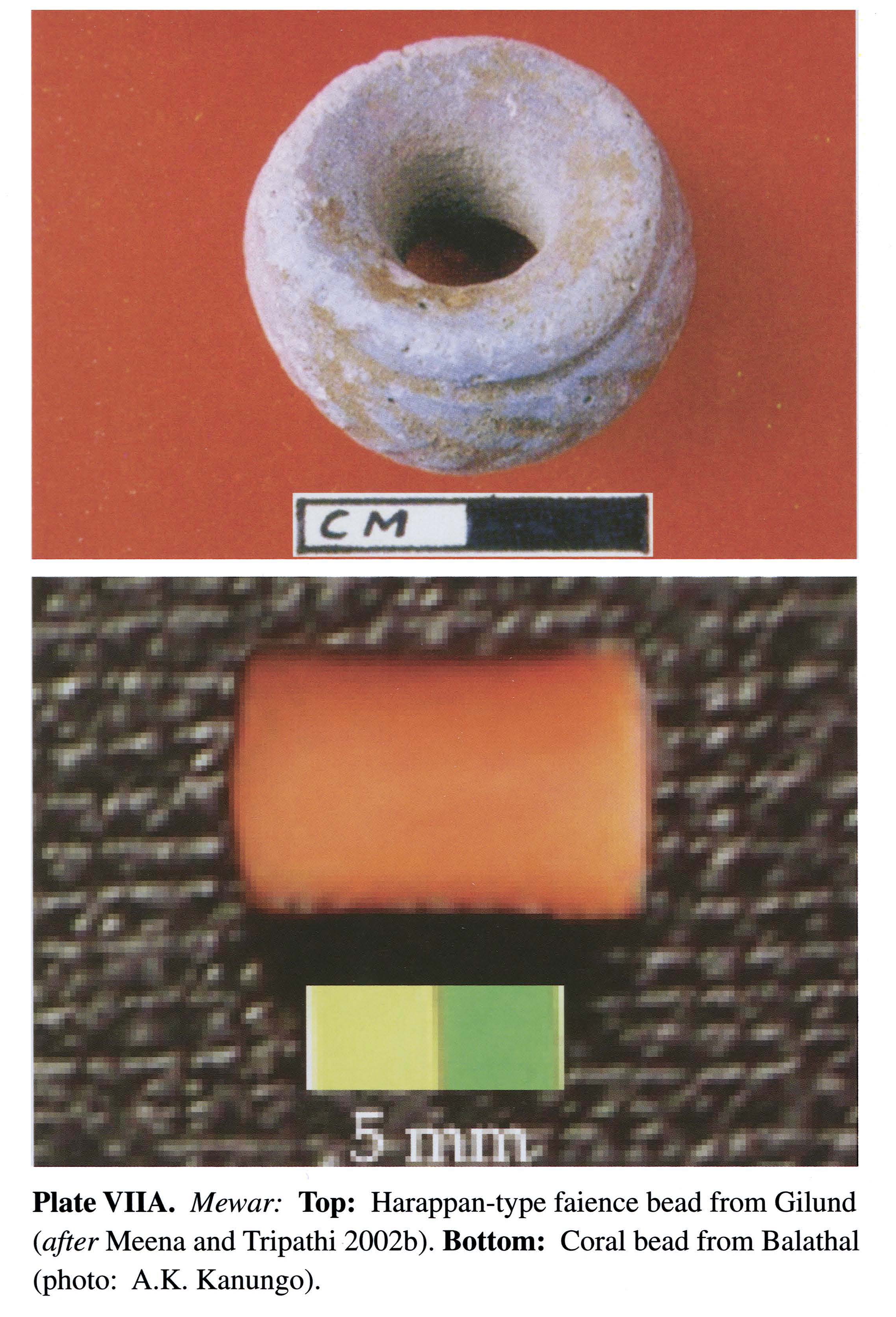 Plate VIIA Mewar: Top: Harappan-type faience bead from Gilund (after Meena and Tripathi 2002b ). Bottom: Coral bead from Balathal (photo: A.K. Kanungo ).