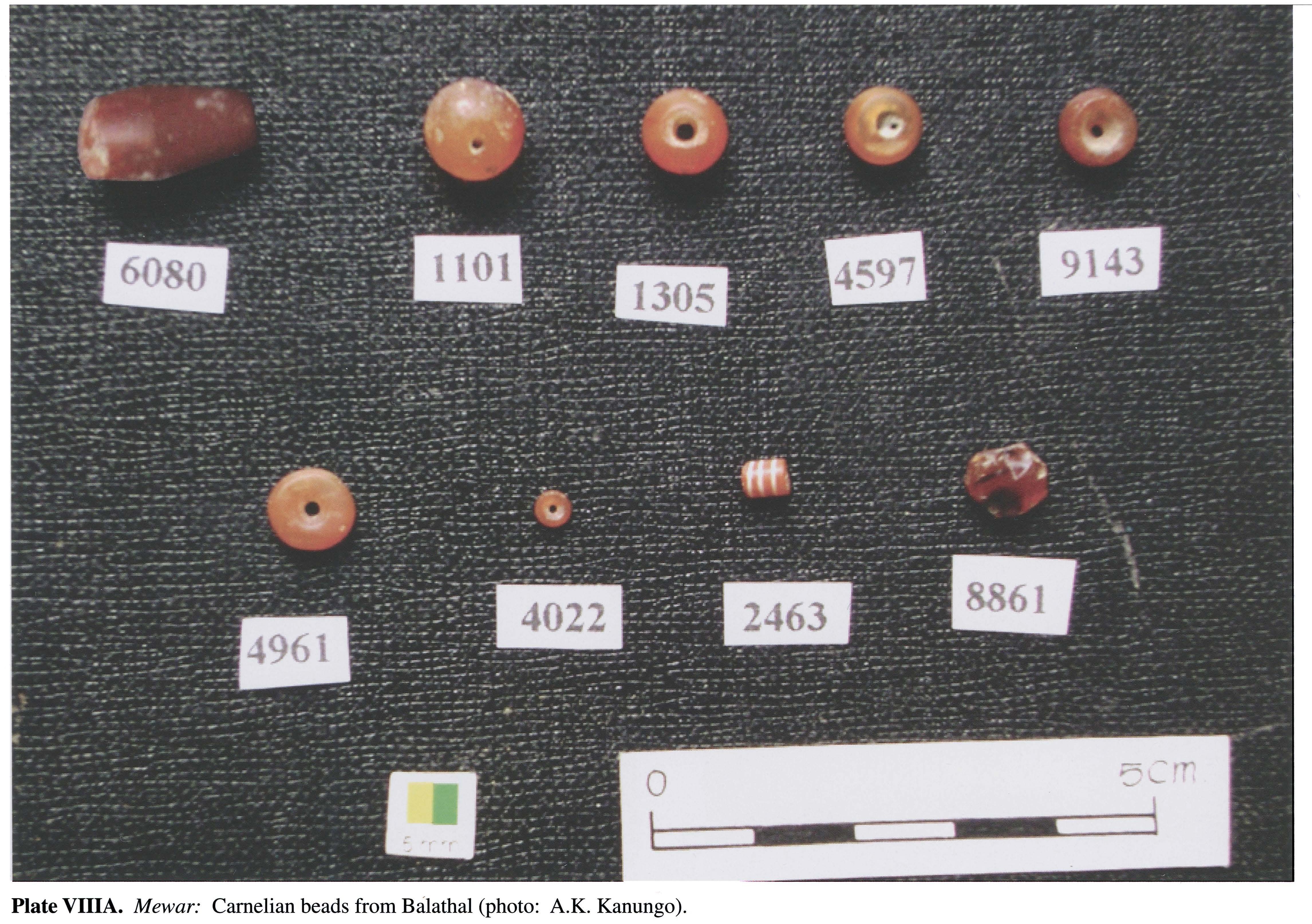 Plate VIIIA Mewar: Carnelian beads from Balathal (photo: A.K. Kanungo).