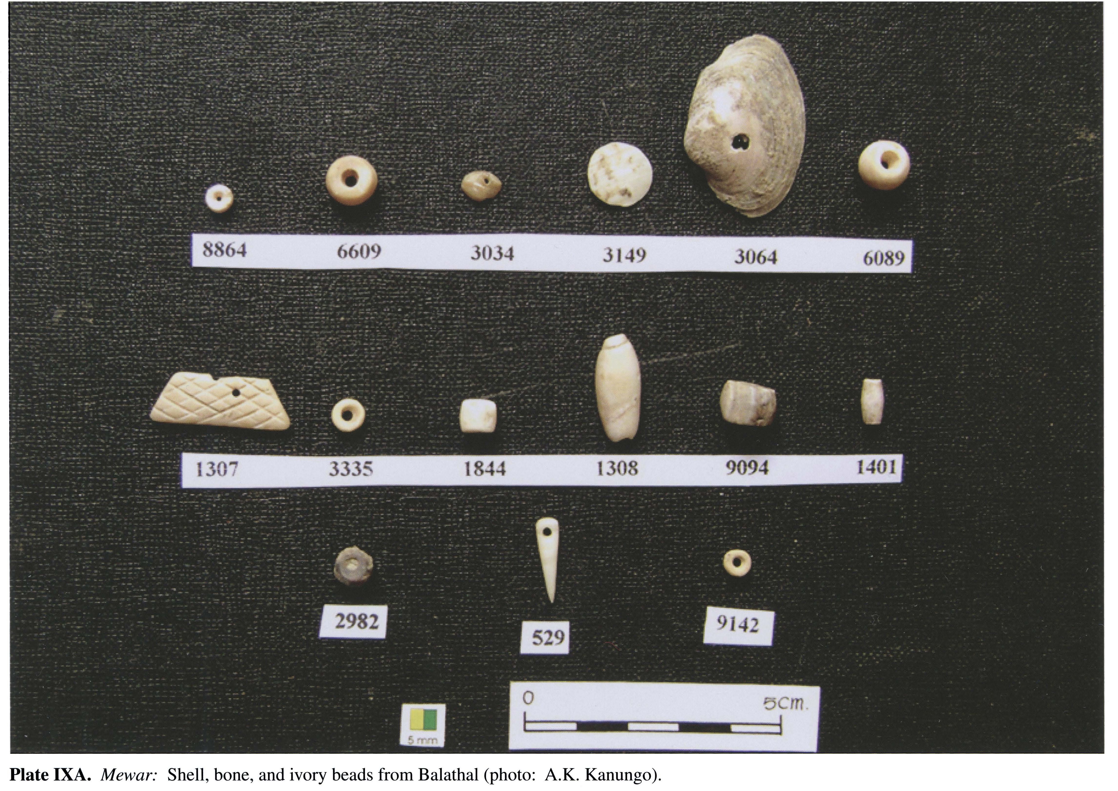 Plate IXA Mewar: Shell, bone, and ivory beads from Balathal (photo: A.K. Kanungo).