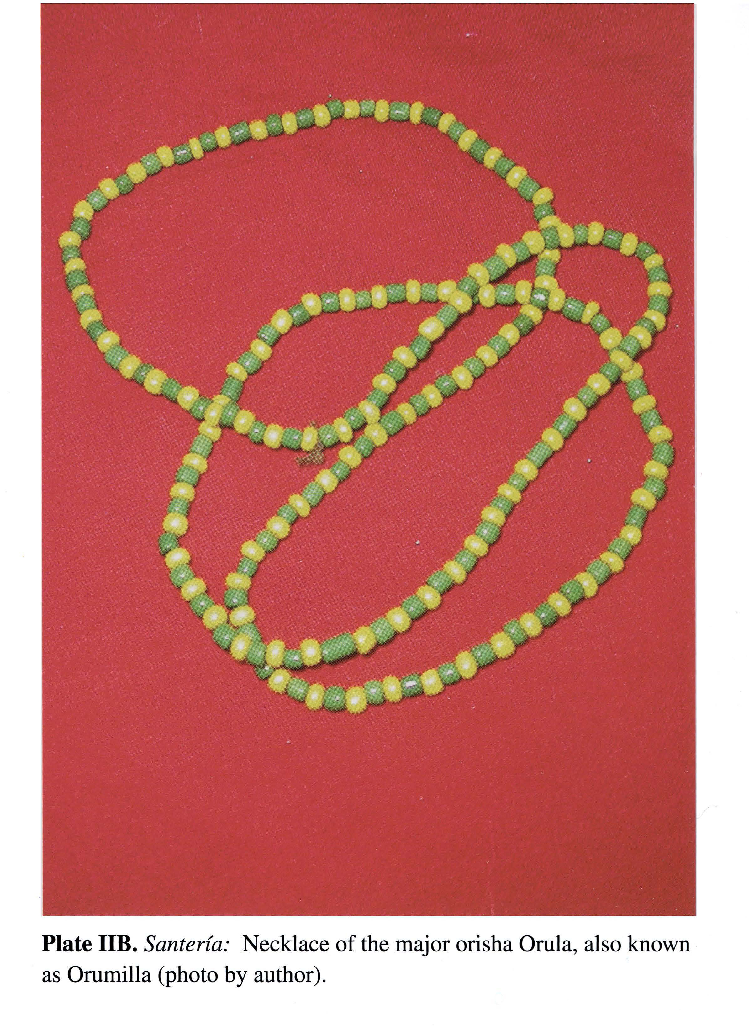 Plate IIB Santería: Necklace of the major orisha Orula, also known as Orumilla (photo by author).