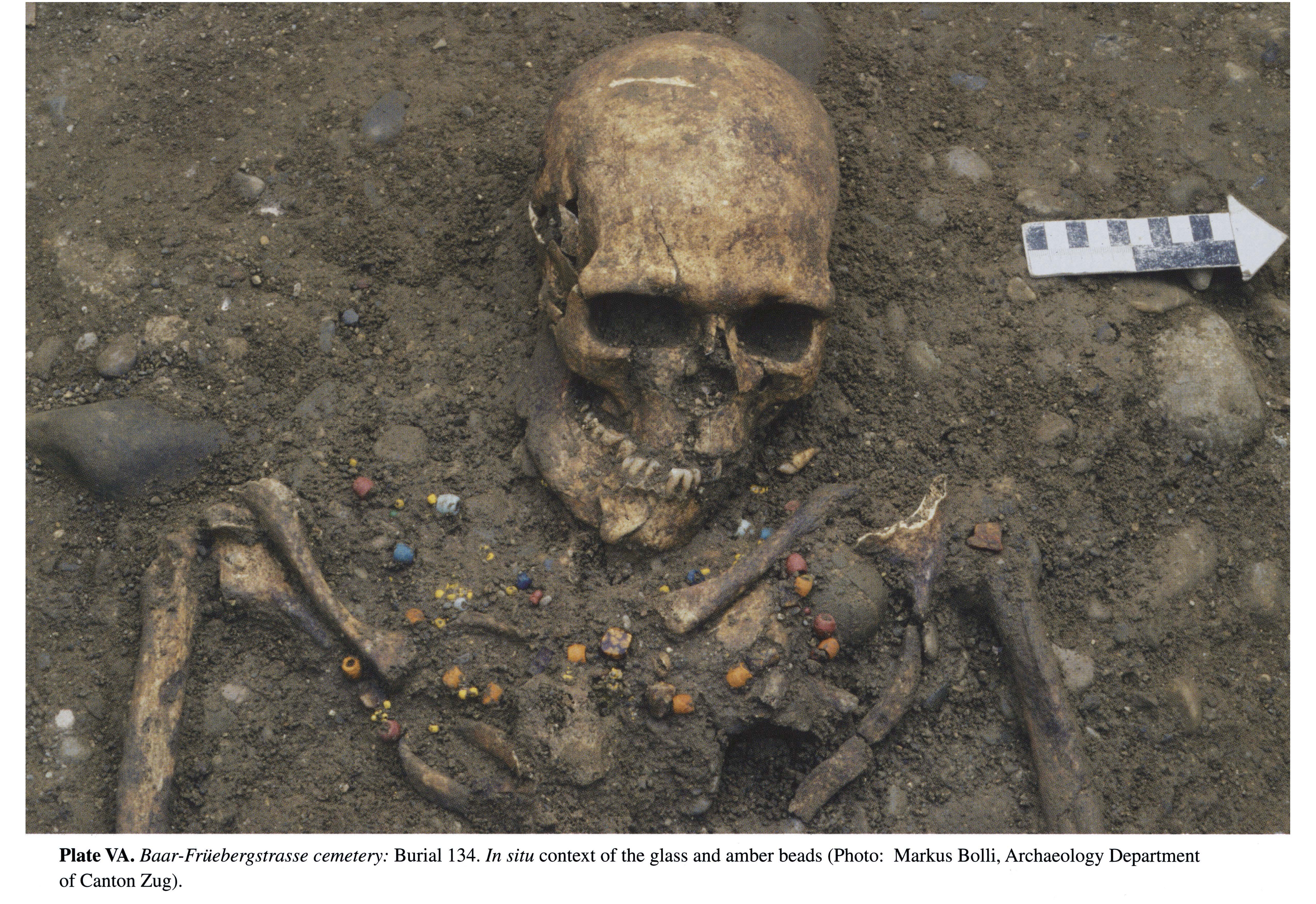 Plate VA Baar-Früebergstrasse cemetery: Burial 134. In situ context of the glass and amber beads (Photo: Markus Bolli, Archaeology Department of Canton Zug).