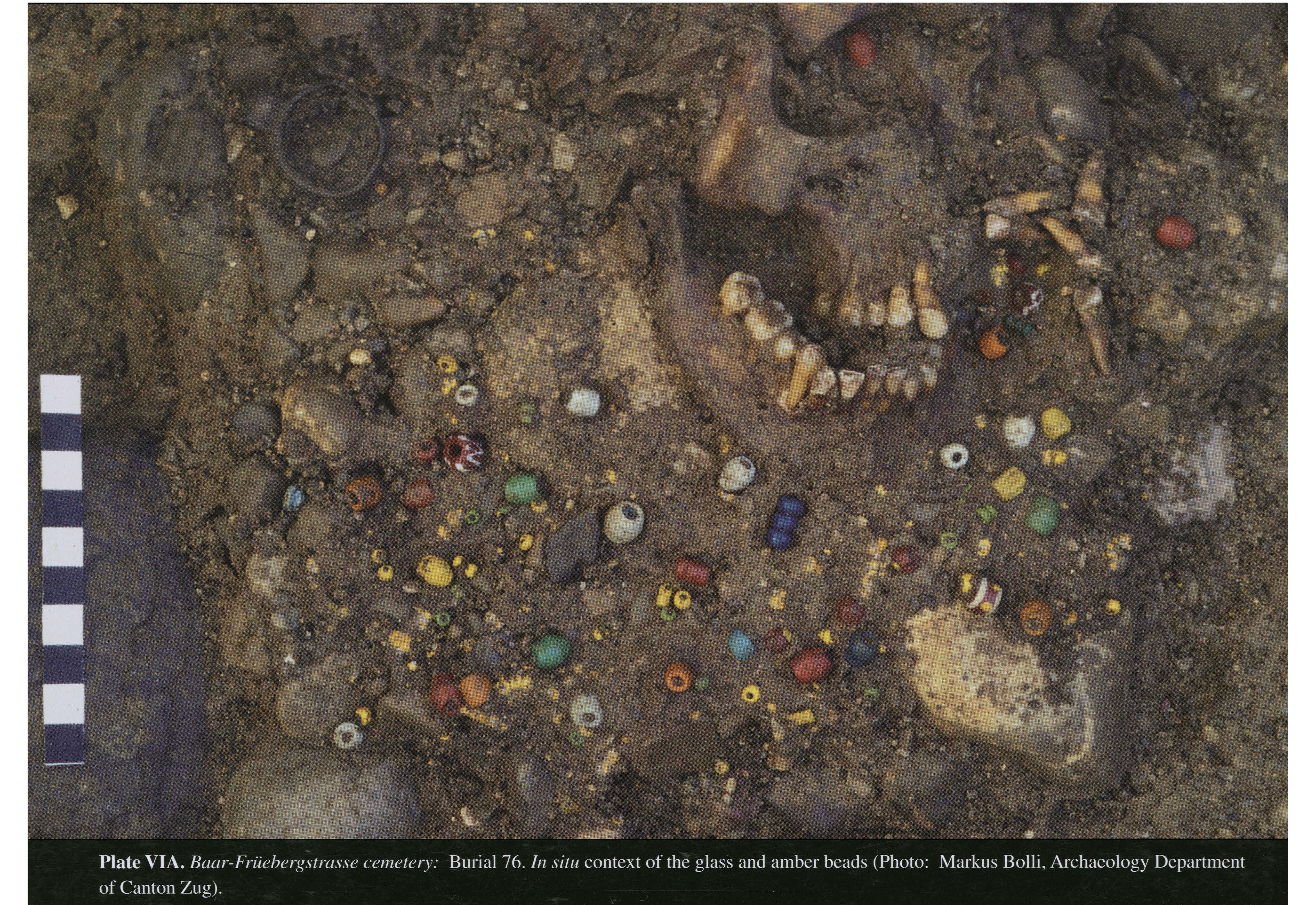 Plate VIA Baar-Früebergstrasse cemetery: Burial 76. In situ context of the glass and amber beads (Photo: Markus Bolli, Archaeology Department of Canton Zug)