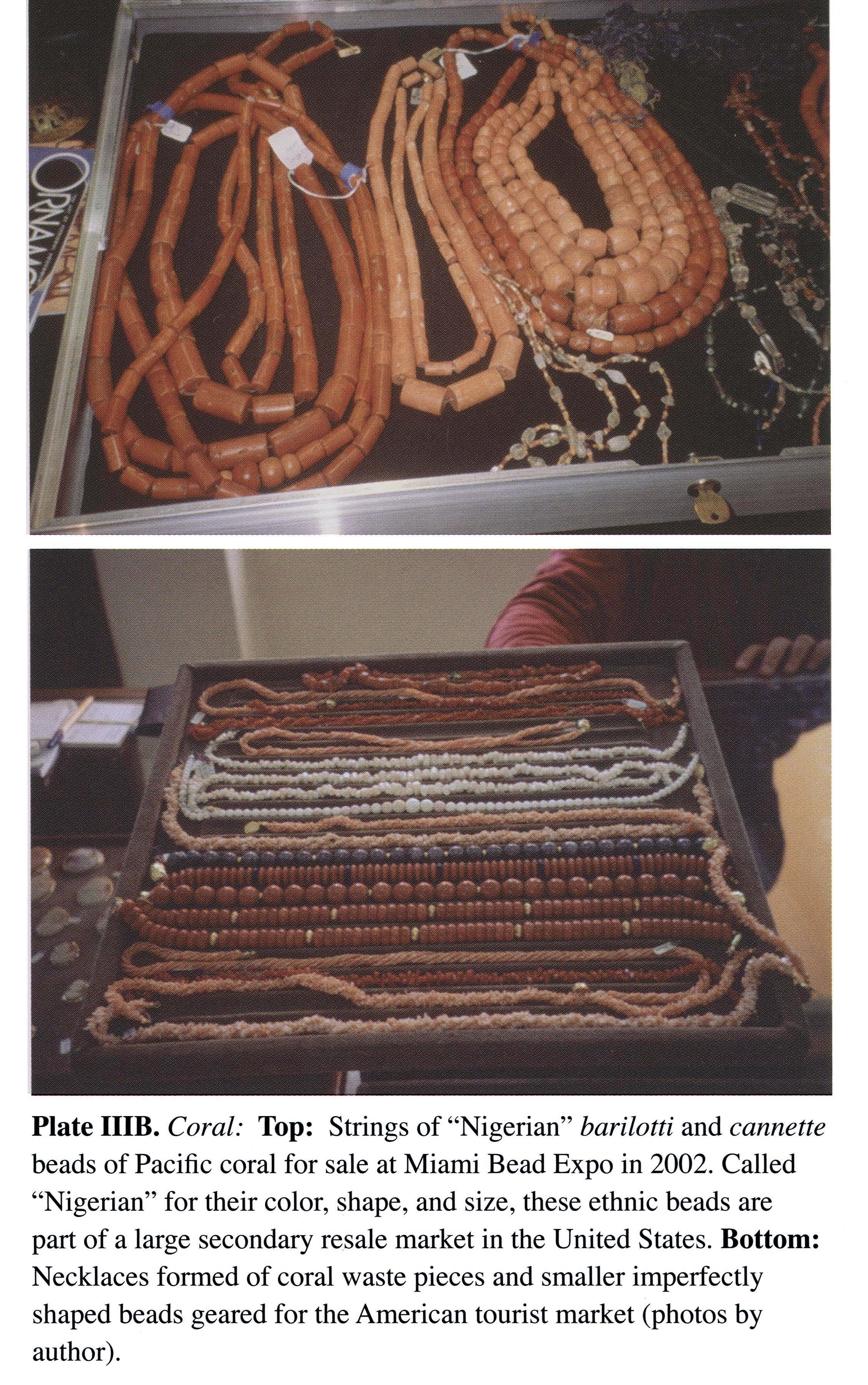 Plate IIIB Coral: Top: Strings of 