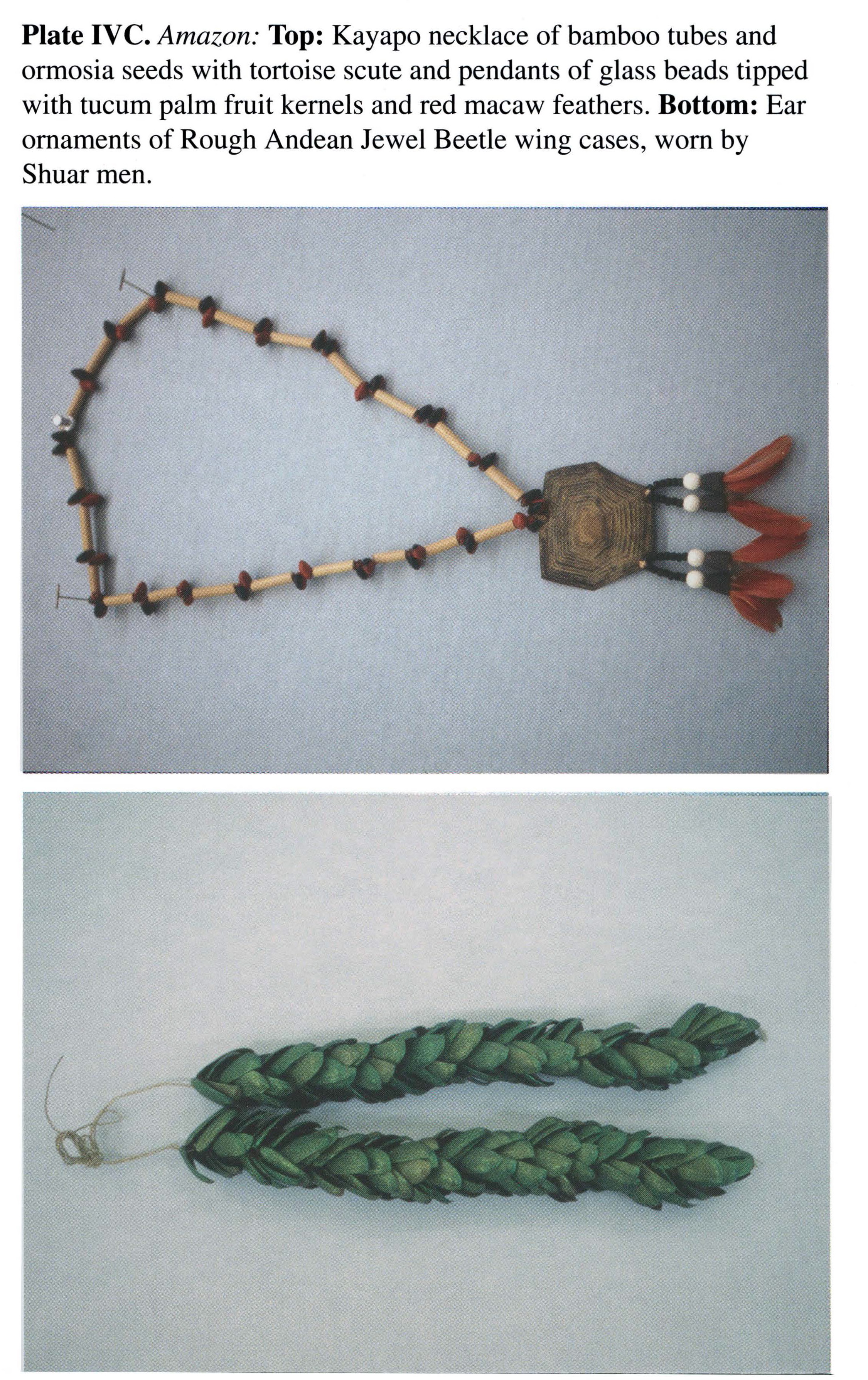 Plate IVC Amazon: Top: Kayapo necklace of bamboo tubes and ormosia seeds with tortoise scute and pendants of glass beads tipped with tucum palm fruit kernels and red macaw feathers. Bottom: Ear ornaments of Rough Andean Jewel Beetle wing cases, worn by Shuar men.