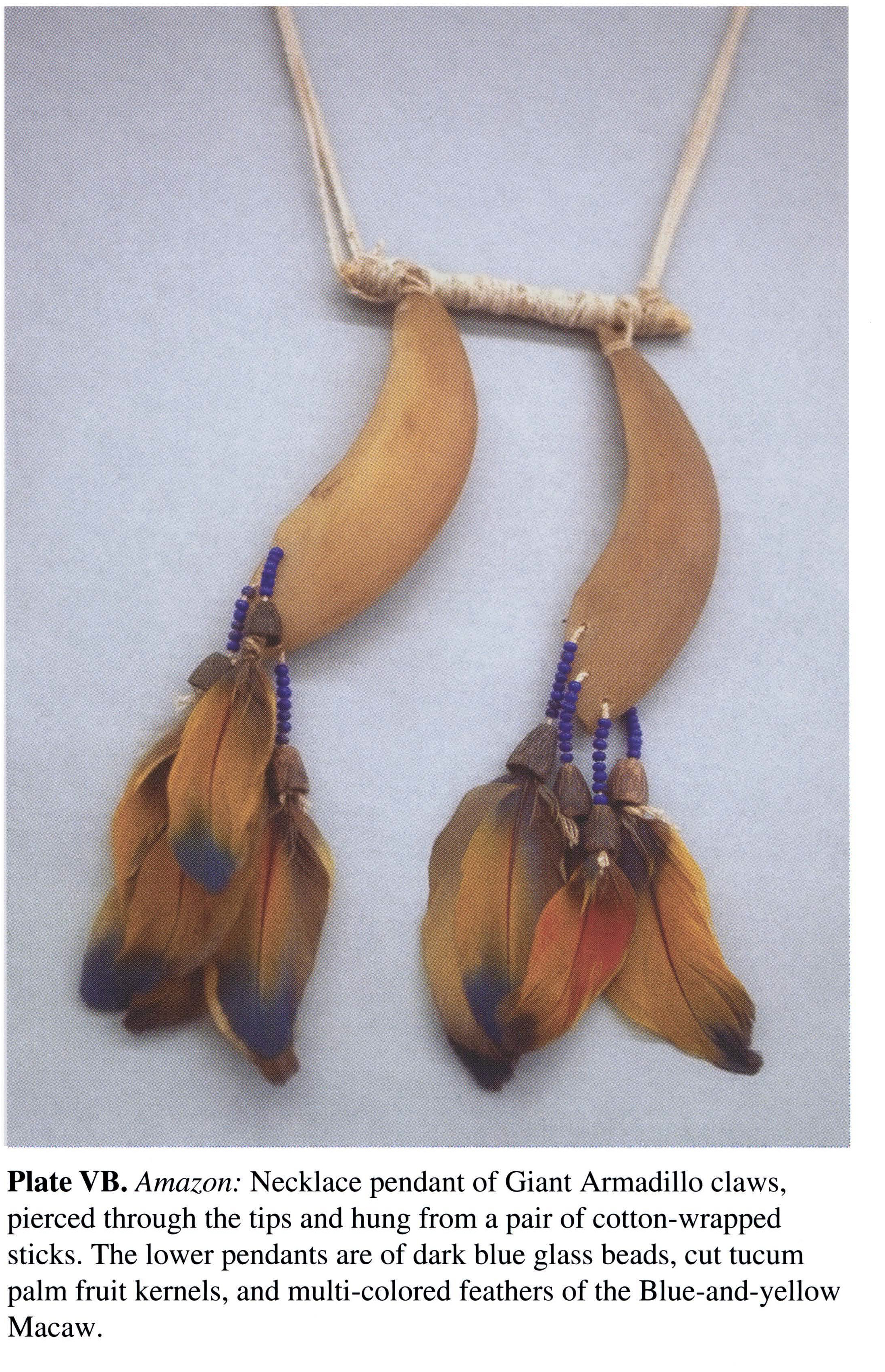 Plate VB Amazon: Necklace pendant of Giant Armadillo claws, pierced through the tips and hung from a pair of cotton-wrapped sticks. The lower pendants are of dark blue glass beads, cut tucum palm fruit kernels, and multi-colored feathers of the Blue-and-yellow Macaw.