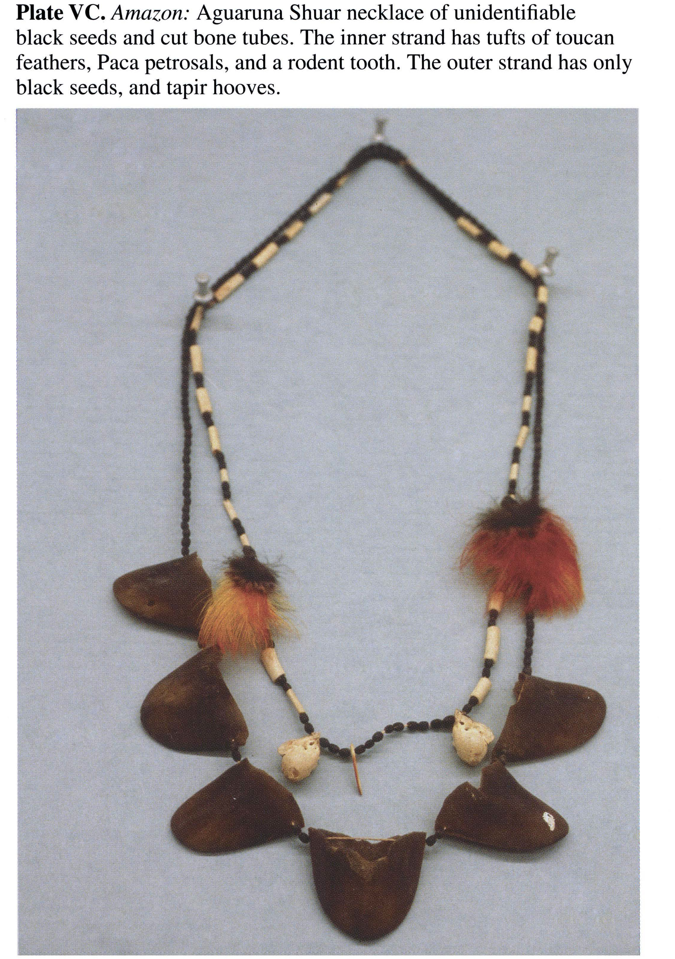 Plate VC Amazon: Aguaruna Shuar necklace of unidentifiable black seeds and cut bone tubes. The inner strand has tufts of toucan feathers, Paca petrosals, and a rodent tooth. The outer strand has only black seeds, and tapir hooves.