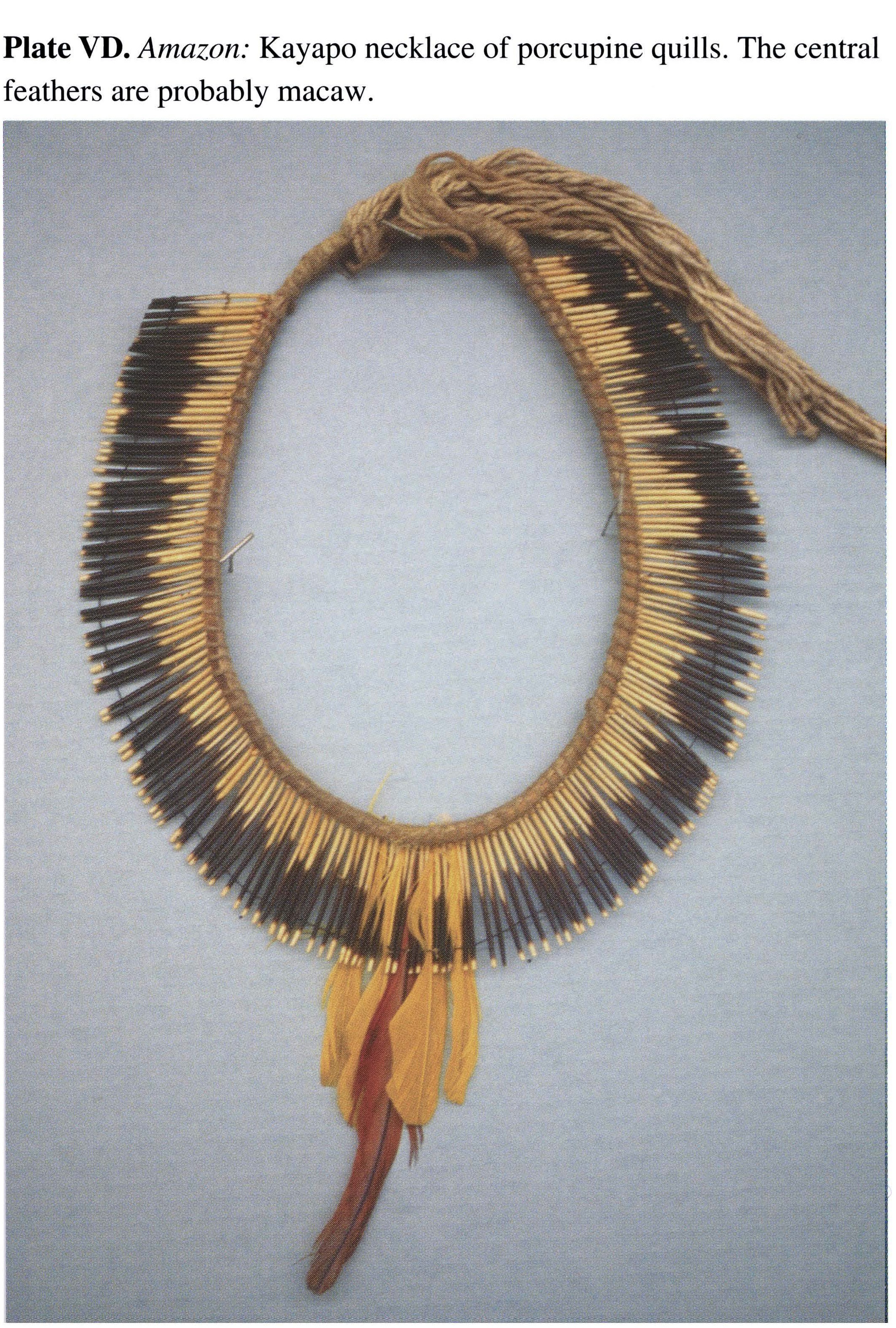 Plate VD Amazon: Kayapo necklace of porcupine quills. The central feathers are probably macaw.