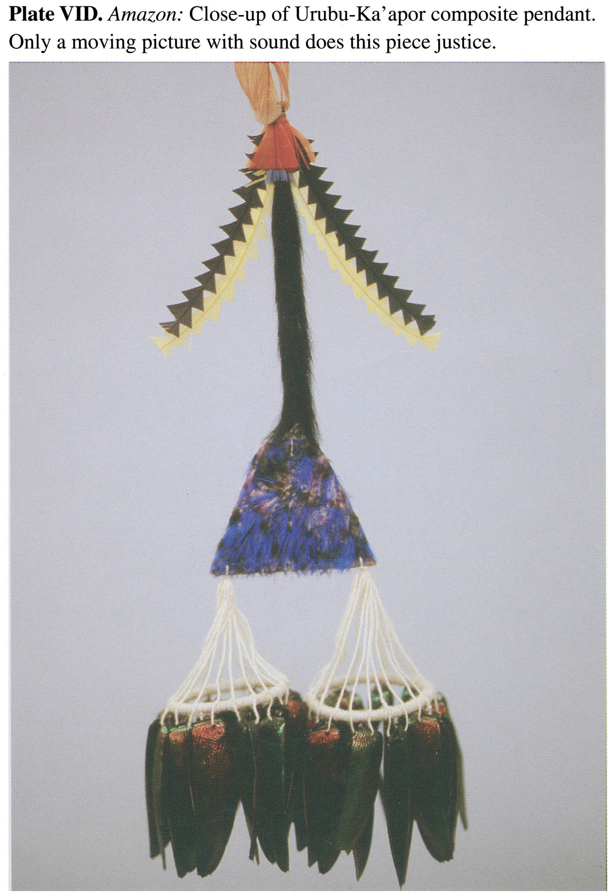 Plate VID Amazon: Close-up of Urubu-Ka' apor composite pendant. Only a moving picture with sound does this piece justice.
