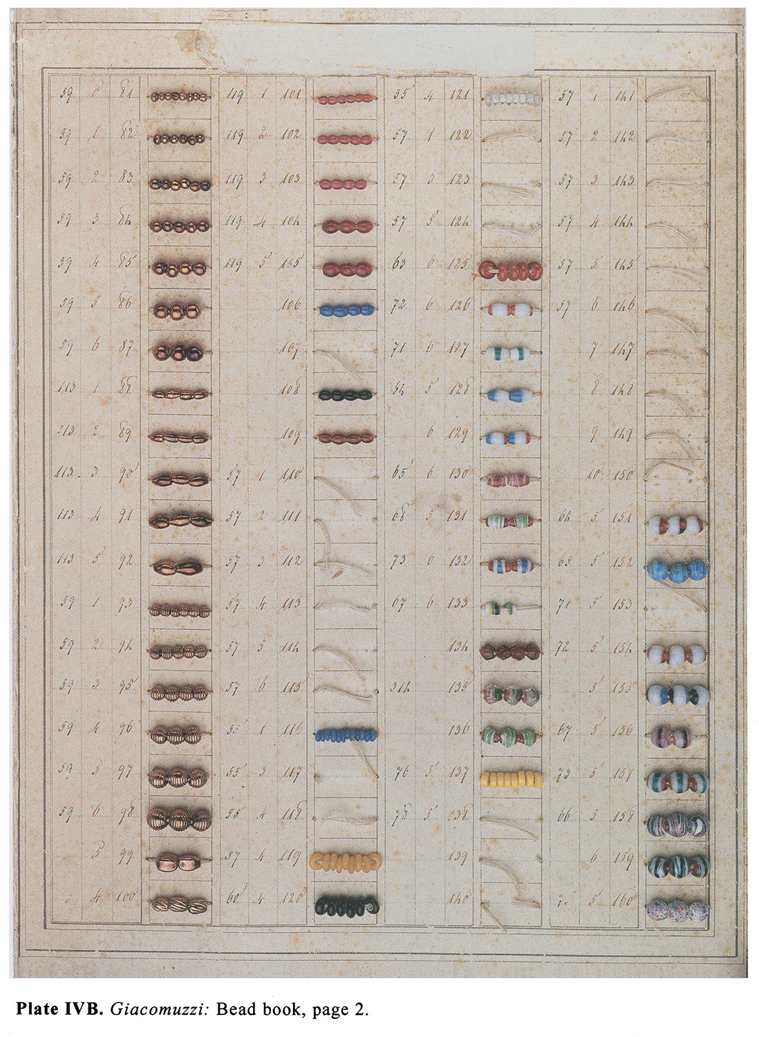 Plate IVB Giacomuzzi: Bead book, page 2.