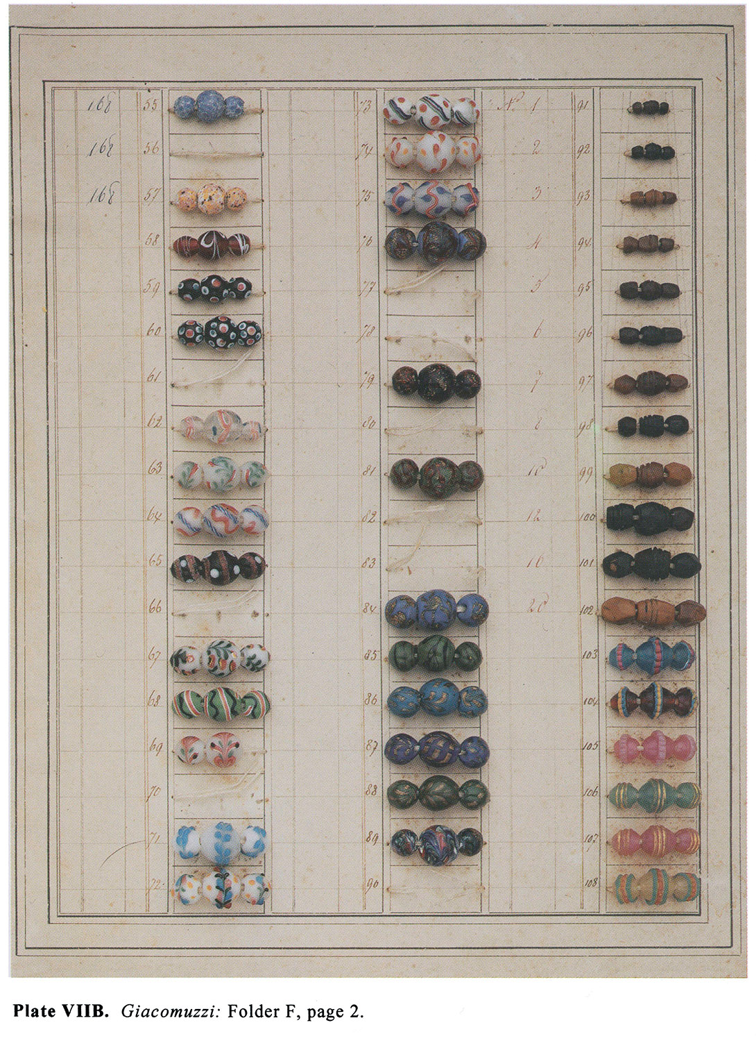 Plate VIIB Giacomuzzi: Folder F, page 2. 