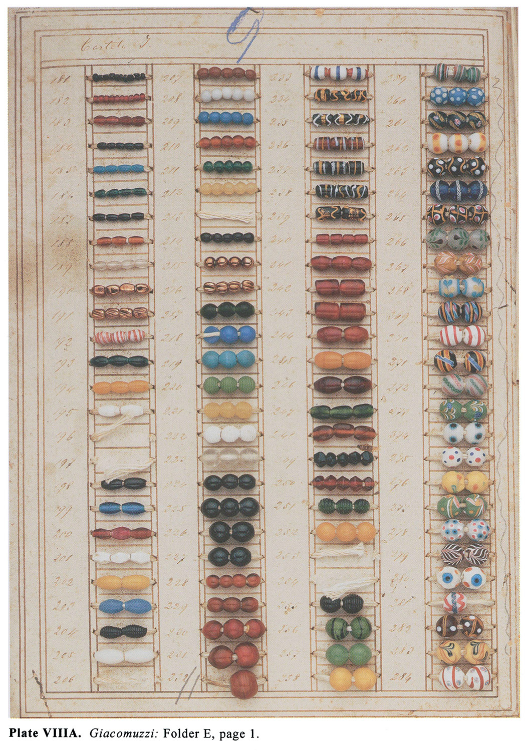 Plate VIIIA Giacomuzzi: Folder E, page I. 