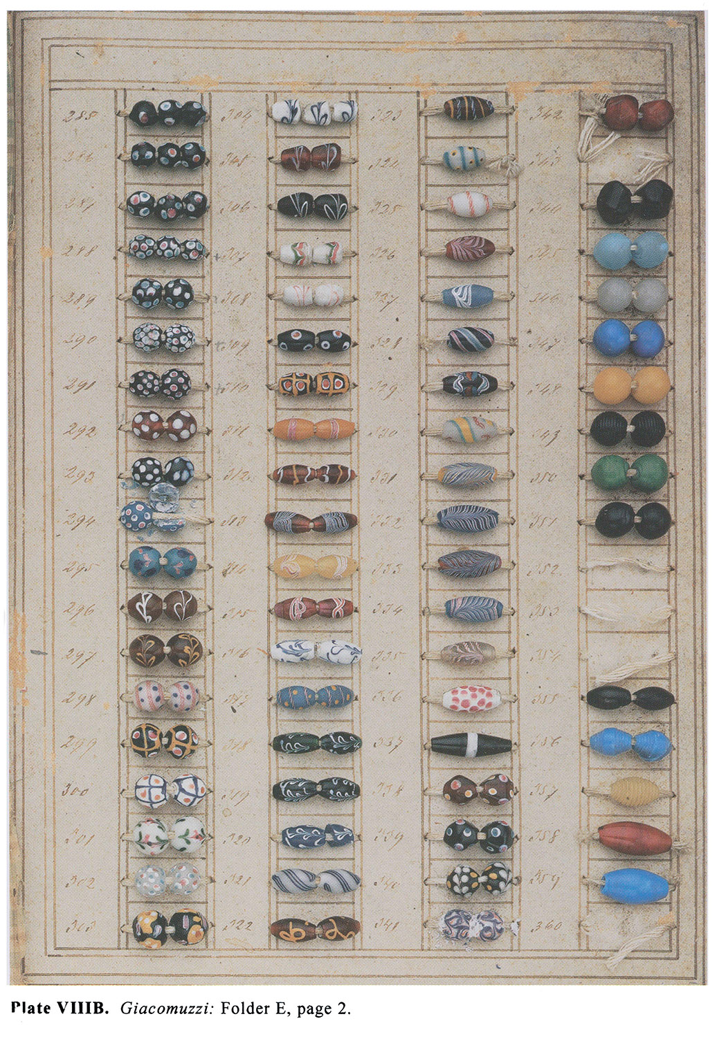 Plate VIIIB Giacomuzzi: Folder E, page 2.