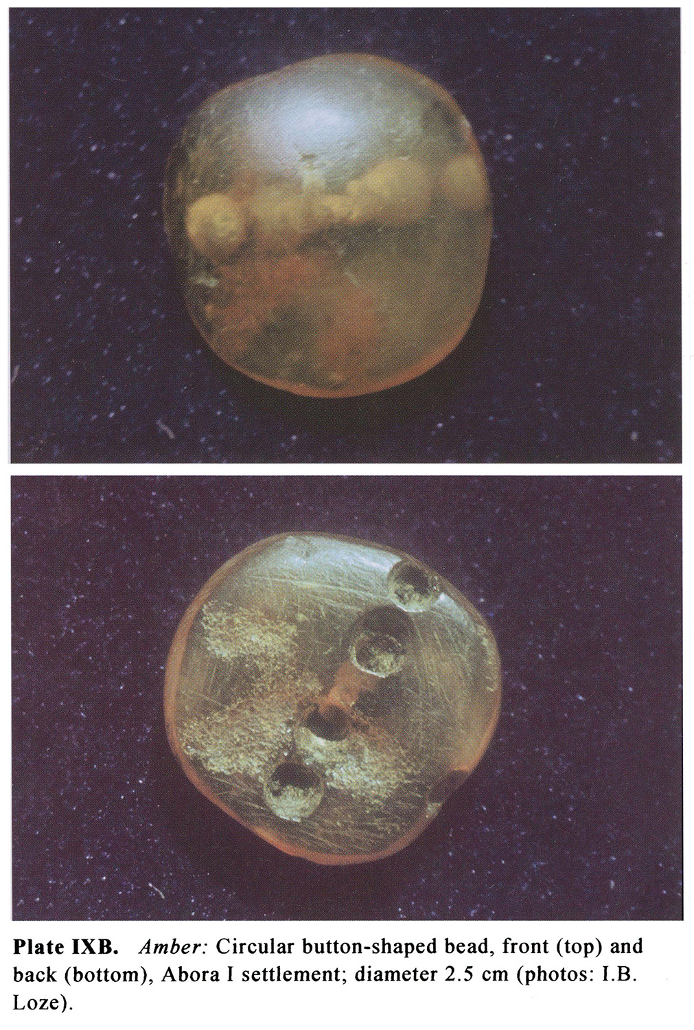 Plate IXB Amber: Circular button-shaped bead, front (top) and back (bottom), Abora I settlement; diameter 2.5 cm (photos: I.B. Loze).