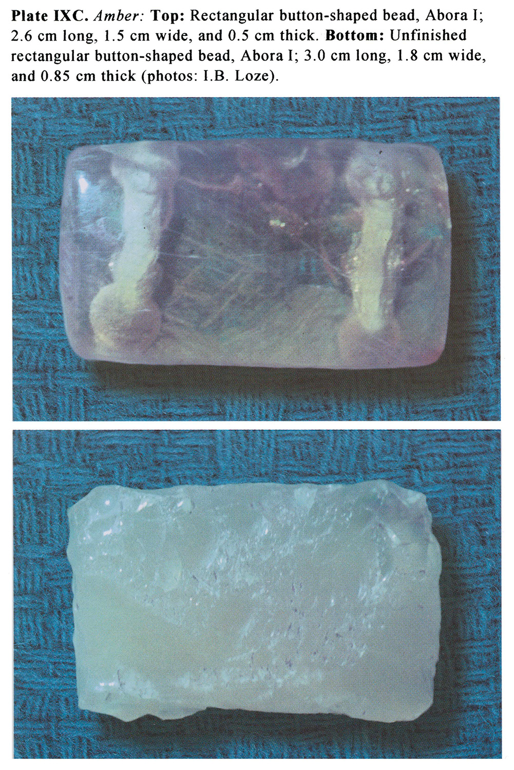 Plate IXC Amber: Top: Rectangular button-shaped bead, Abora I; 2.6 cm long, 1.5 cm wide, and 0.5 cm thick. Bottom: Unfinished rectangular button-shaped bead, Abora I; 3.0 cm long, 1.8 cm wide, and 0.85 cm thick (photos: I.B. Loze).