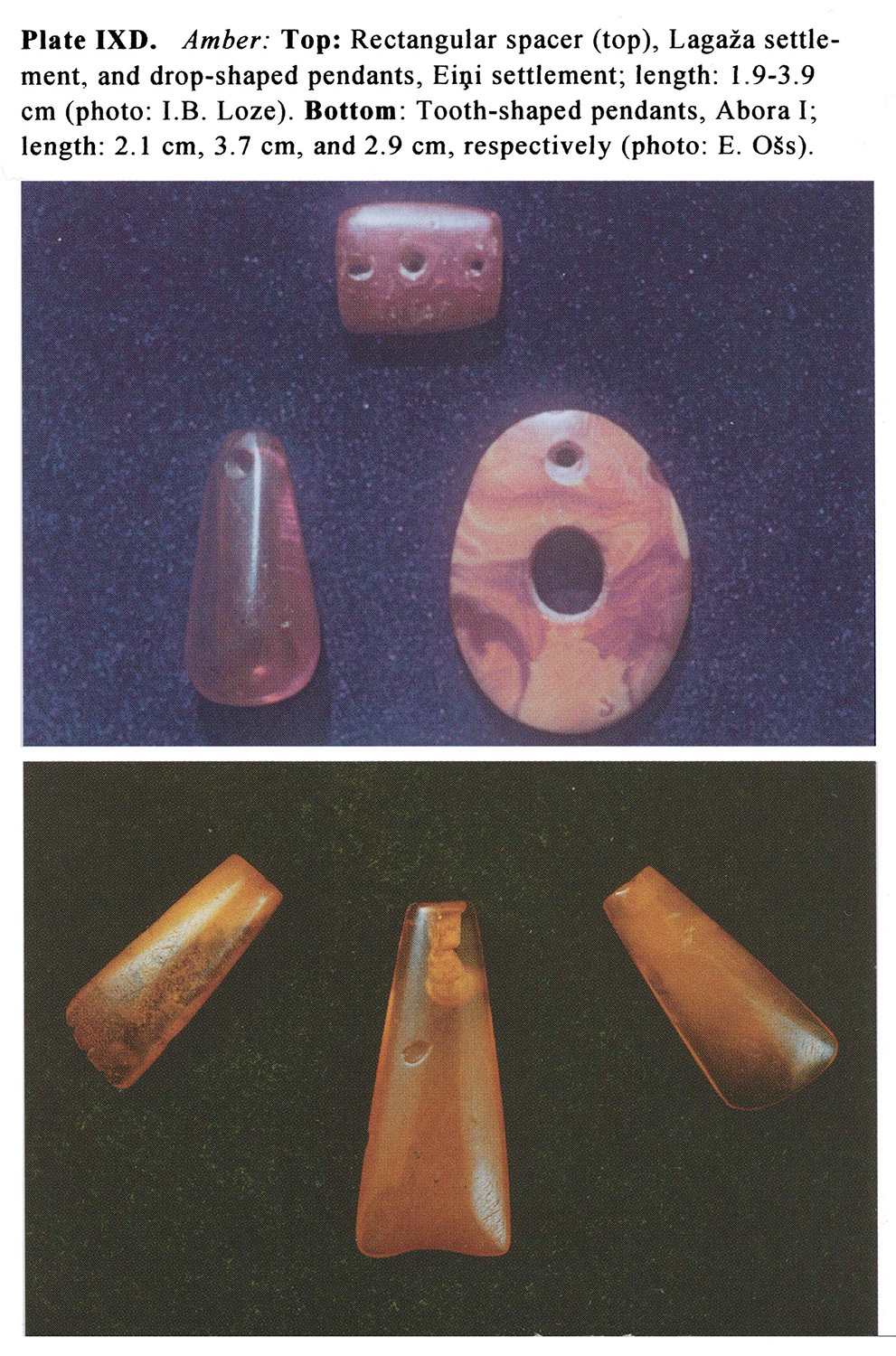 Plate IXD Amber: Top: Rectangular spacer (top), Lagaza settlement, and drop-shaped pendants, EiQ.i settlement; length: 1.9-3.9 cm (photo: J.B. Loze). Bottom: Tooth-shaped pendants, Abora I; length: 2.1 cm, 3. 7 cm, and 2.9 cm, respectively (photo: E. O~s).