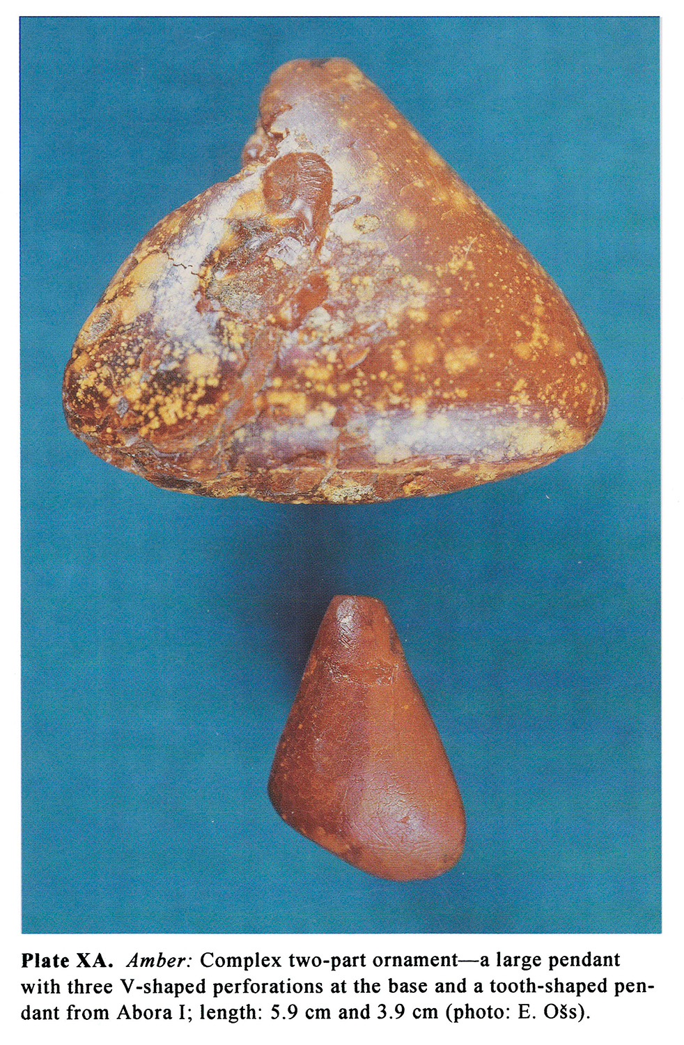 Plate XA Amber: Complex two-part ornament-a large pendant with three V-shaped perforations at the base and a tooth-shaped pendant from Abora I; length: 5.9 cm and 3.9 cm (photo: E. O~s).