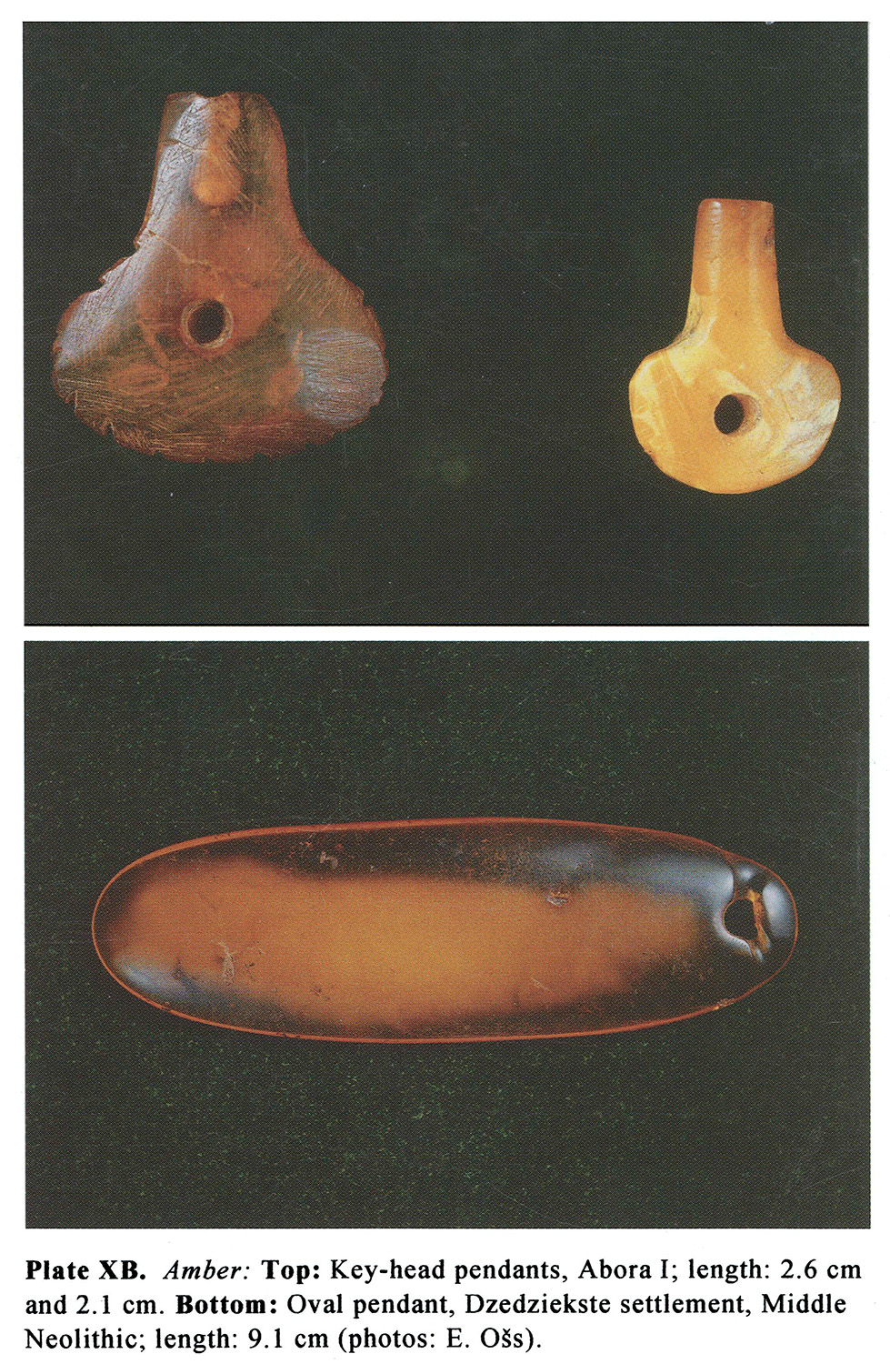 Plate XB Amber: Top: Key-head pendants, Abora I; length: 2.6 cm and 2.1 cm. Bottom: Oval pendant, Dzedziekste settlement, Middle Neolithic; length: 9.1 cm (photos: E. O~s).