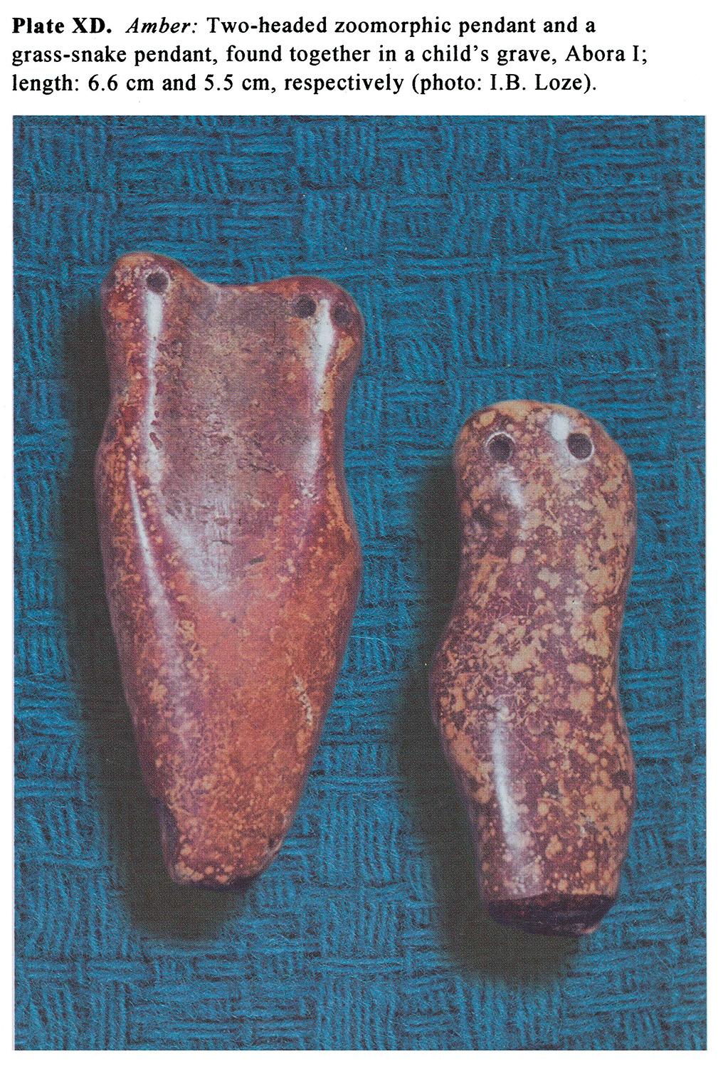 Plate XD Amber: Two-headed zoomorphic pendant and a grass-snake pendant, found together in a child's grave, Abora I; length: 6.6 cm and 5.5 cm, respectively (photo: J.B. Loze).