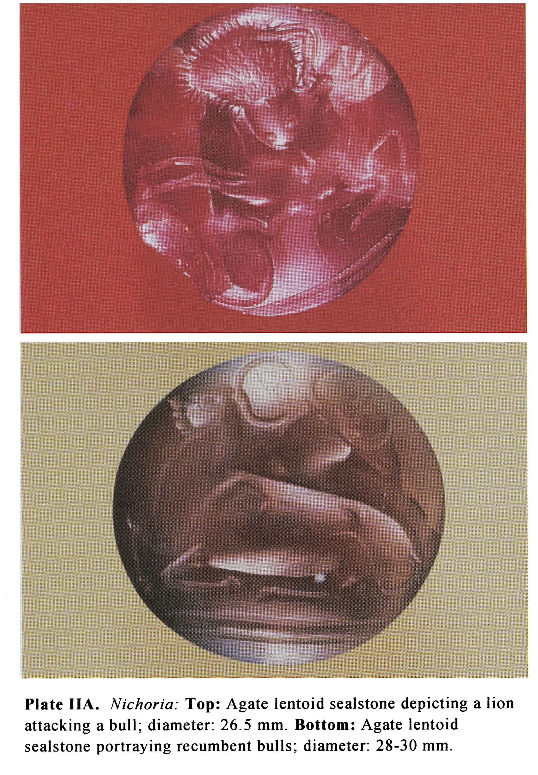 Plate IIA Nichoria: Top: Agate lentoid sealstone depicting a lion attacking a bull; diameter: 26.5 mm. Bottom: Agate lentoid sealstone portraying recumbent bulls; diameter: 28-30 mm.