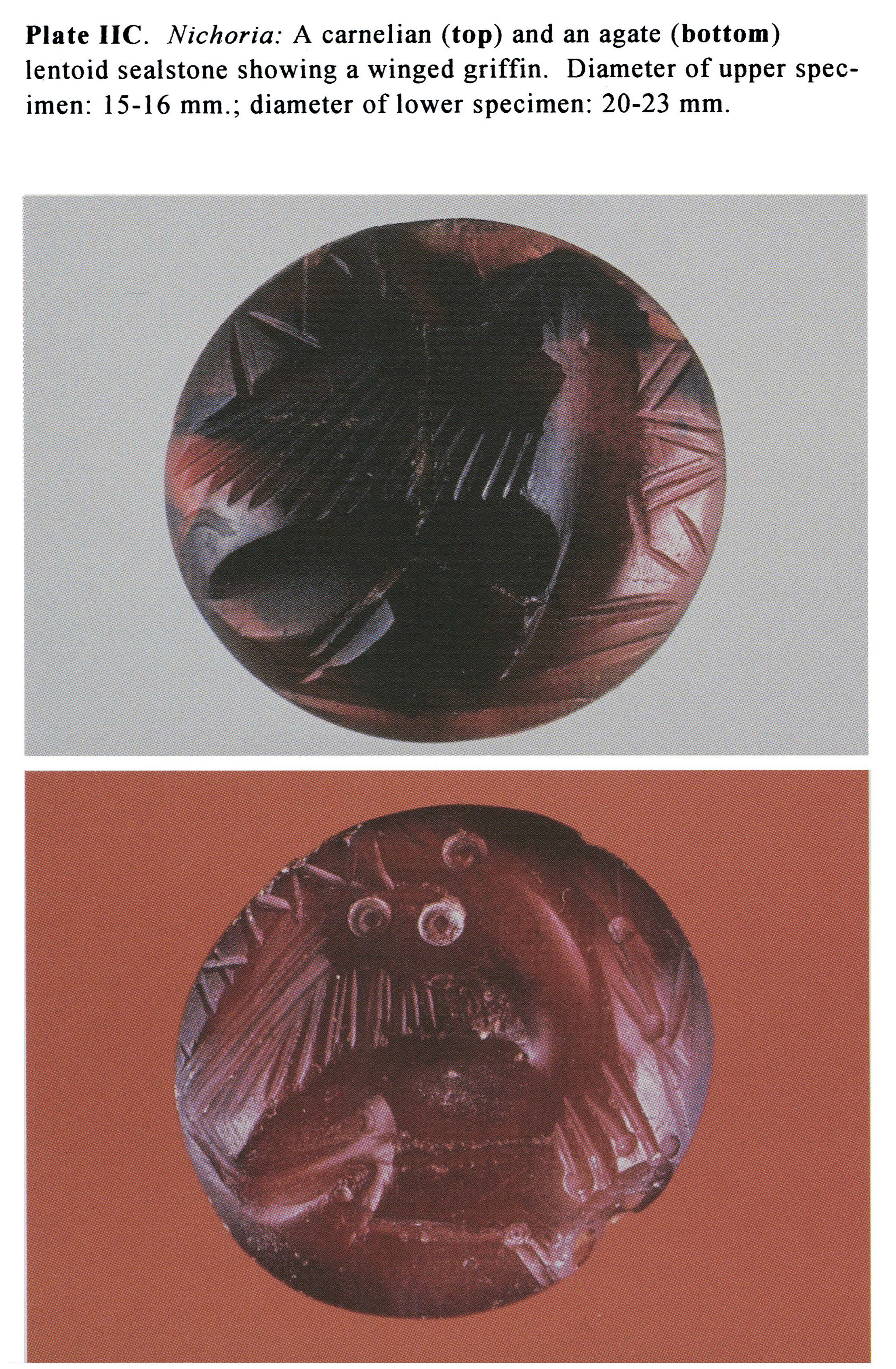 Plate IIC Nichoria: A carnelian (top) and an agate (bottom) lento id seal stone showing a winged griffin. Diameter of upper specimen: 15-16 mm.; diameter of lower specimen: 20-23 mm.