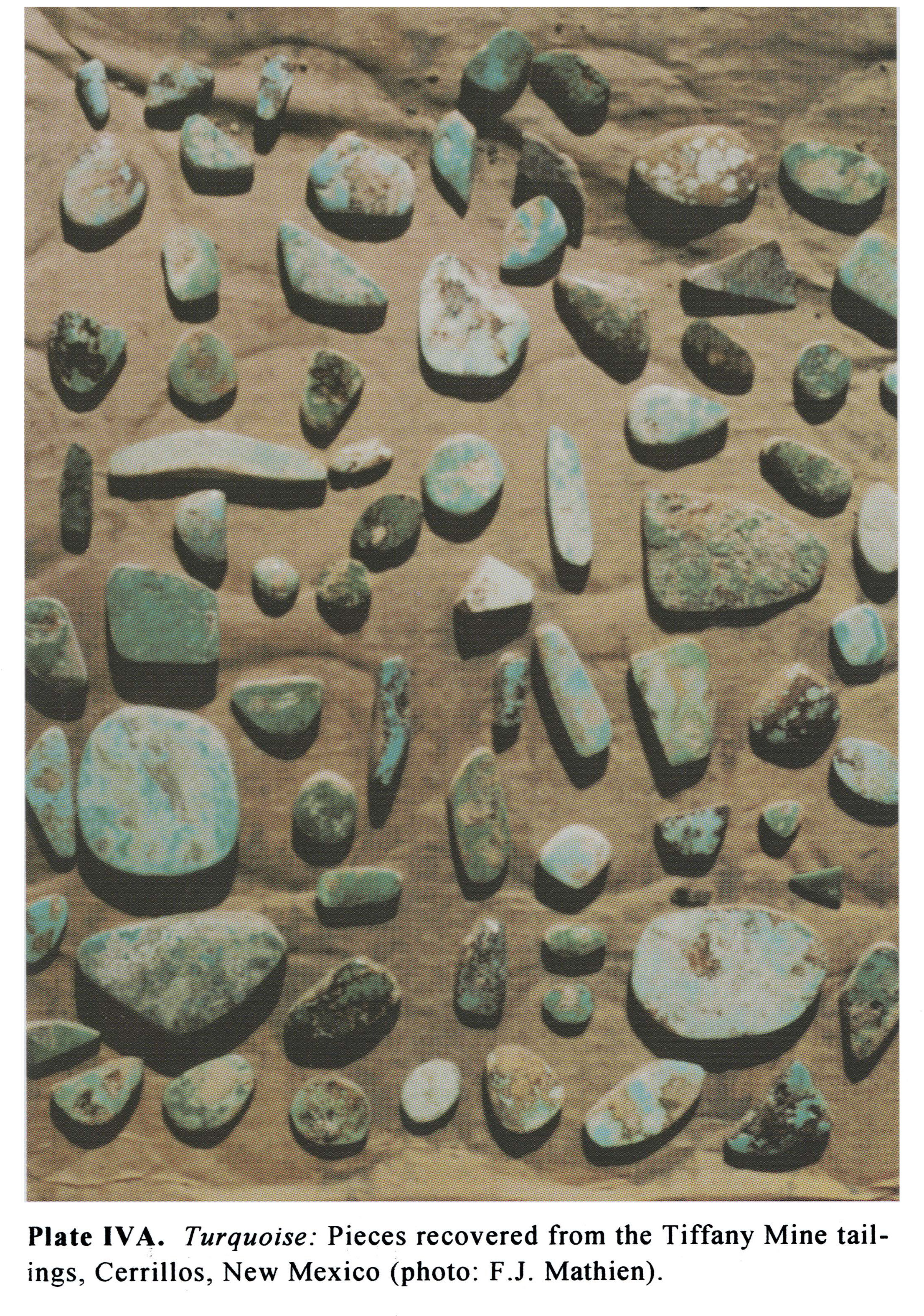 Plate IVA Turquoise: Pieces recovered from the Tiffany Mine tailings, Cerrillos, New Mexico (photo: F.J. Mathien).