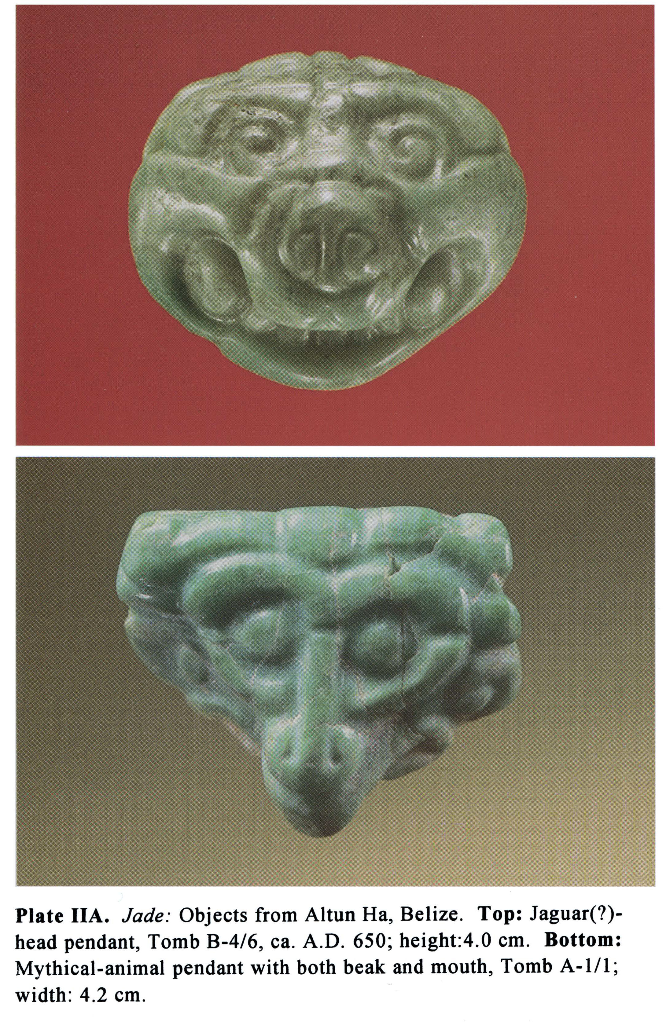 Plate IIA Jade: Objects from Altun Ha, Belize. Top: Jaguar(?)head pendant, Tomb 8-4/6, ca. A.D. 650; height:4.0 cm. Bottom: Mythical-animal pendant with both beak and mouth, Tomb A-1/1; width: 4.2 cm.