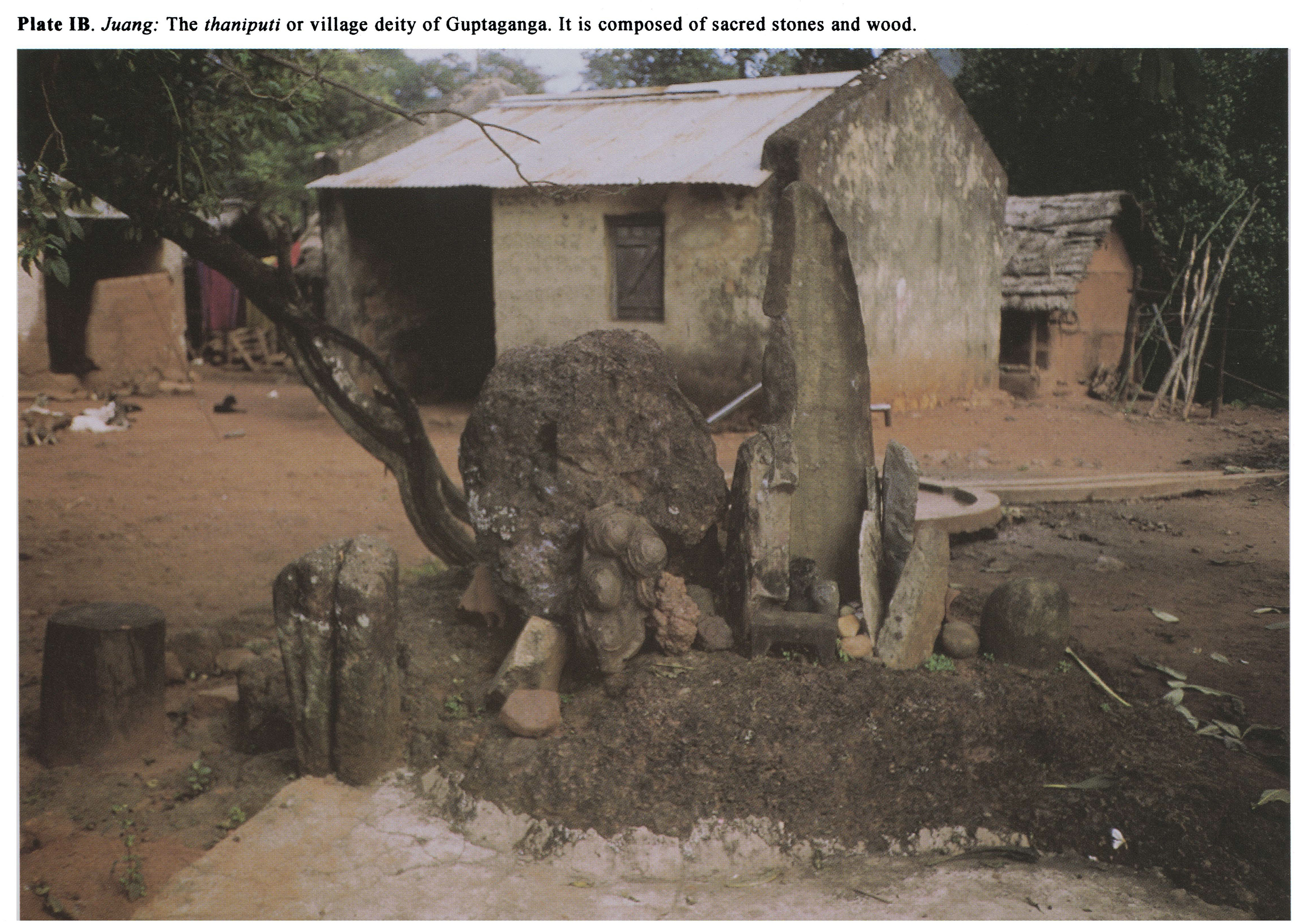Plate IB Juang: The thaniputi or village deity of Guptaganga. It is composed of sacred stones and wood.