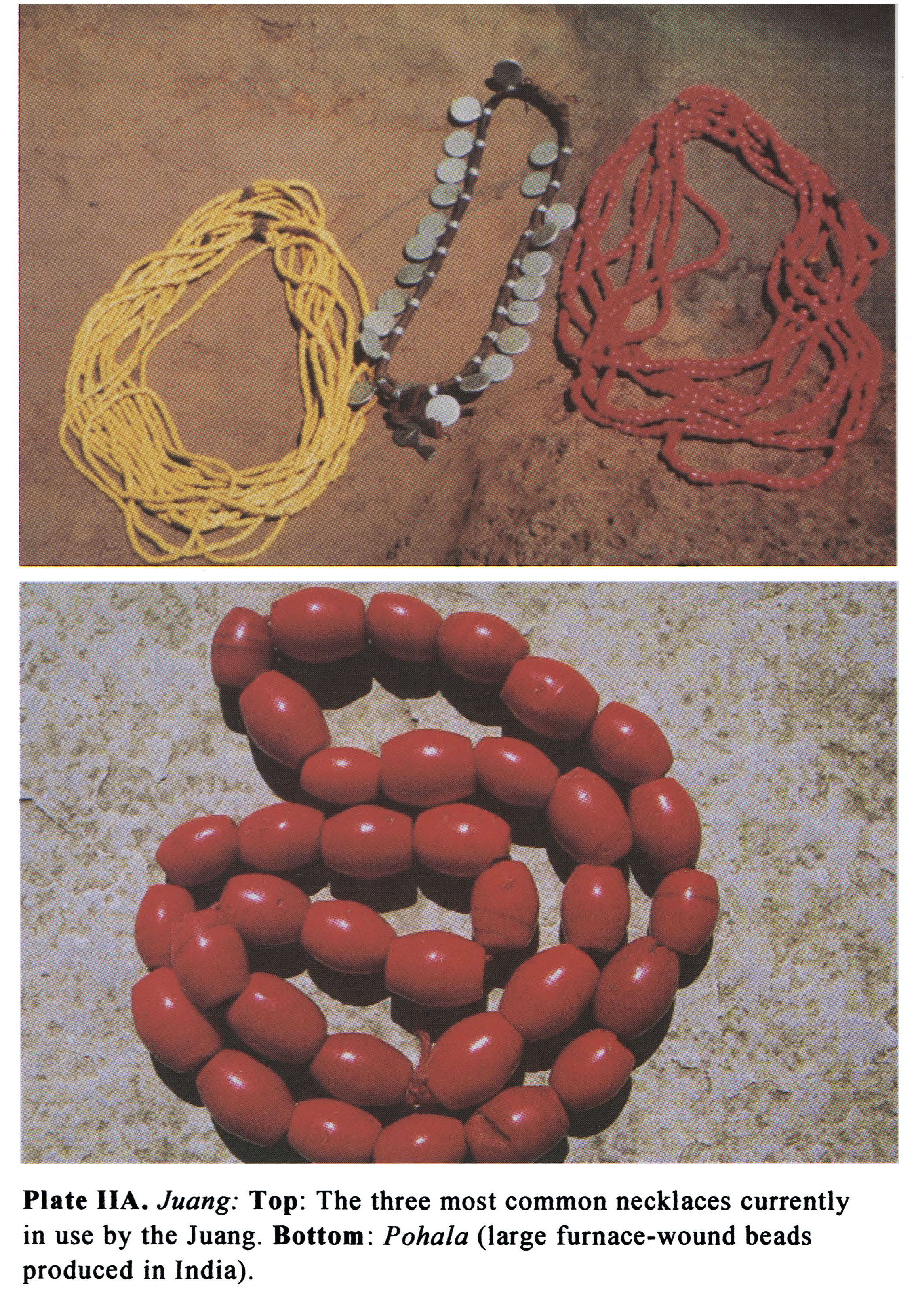 Plate IIA Juang: Top: The three most common necklaces currently in use by the Juang. Bottom: Pohala (large furnace-wound beads produced in India).