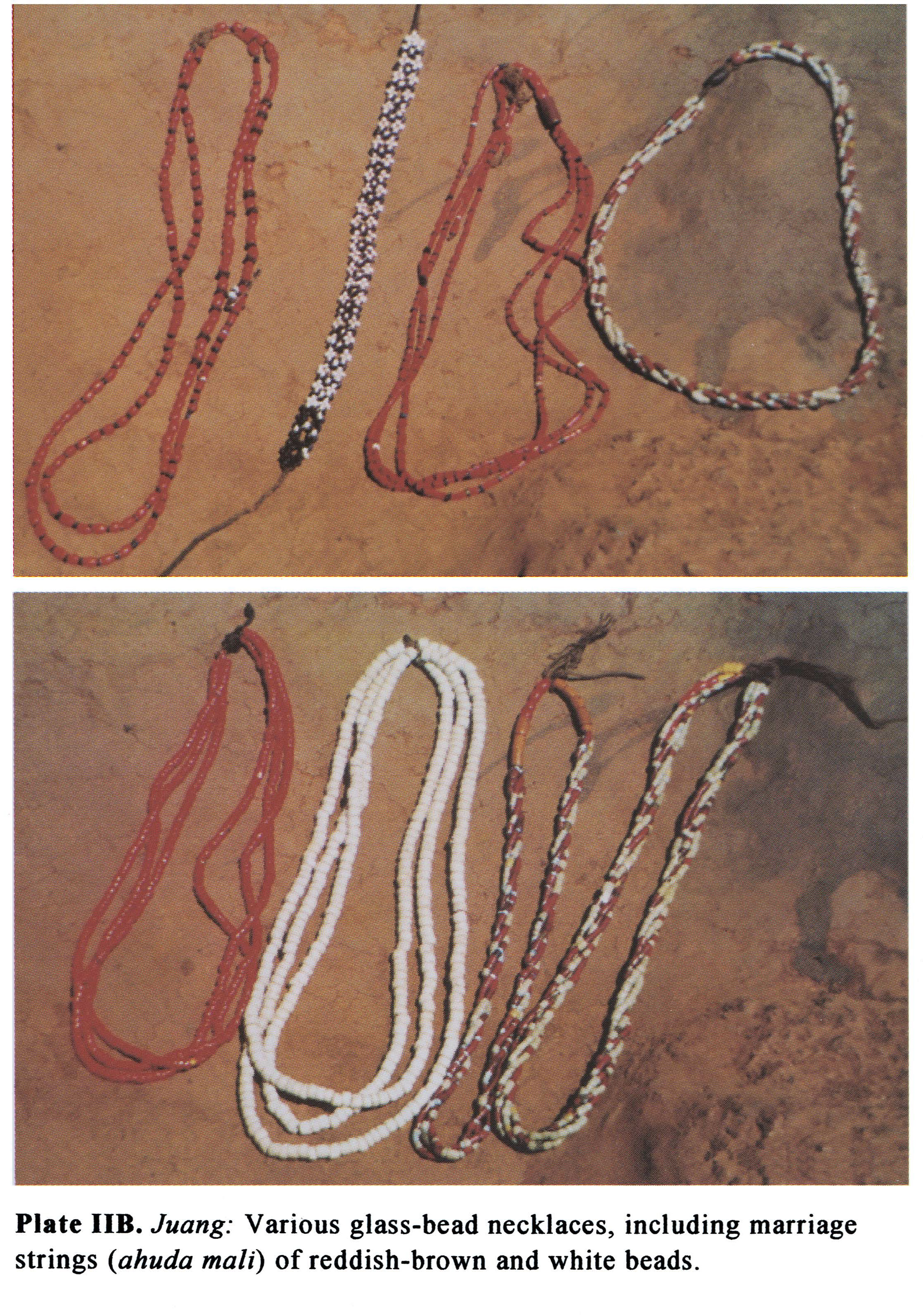 Plate IIB Juang: Various glass-bead necklaces, including marriage strings (ahuda mali) of reddish-brown and white beads.