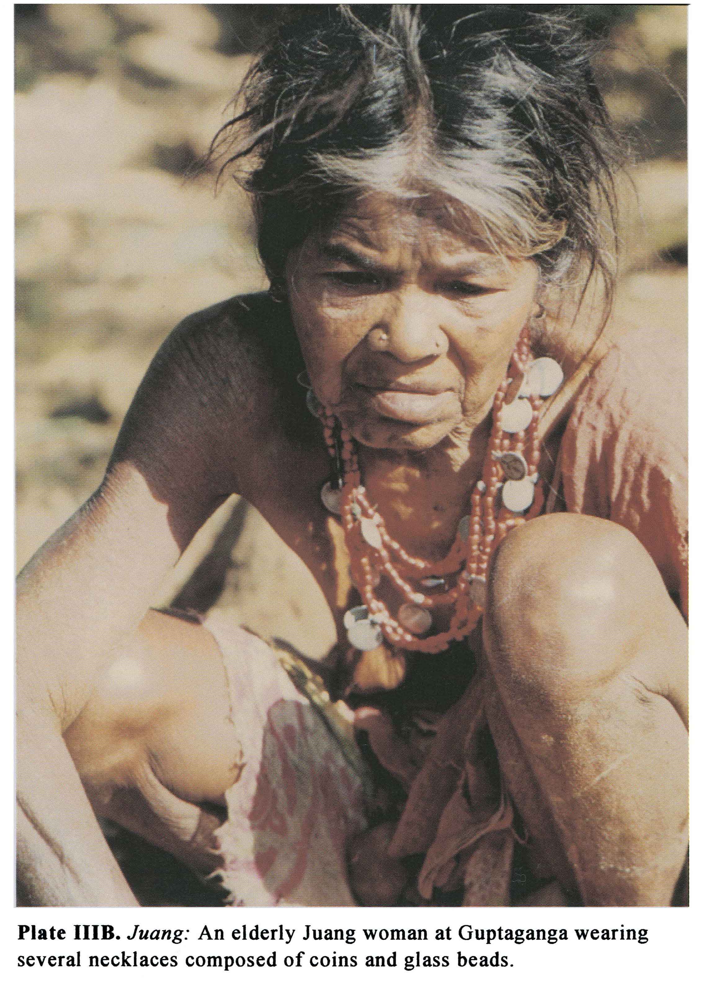 Plate IIIB Juang: An elderly Juang woman at Guptaganga wearing several necklaces composed of coins and glass beads.